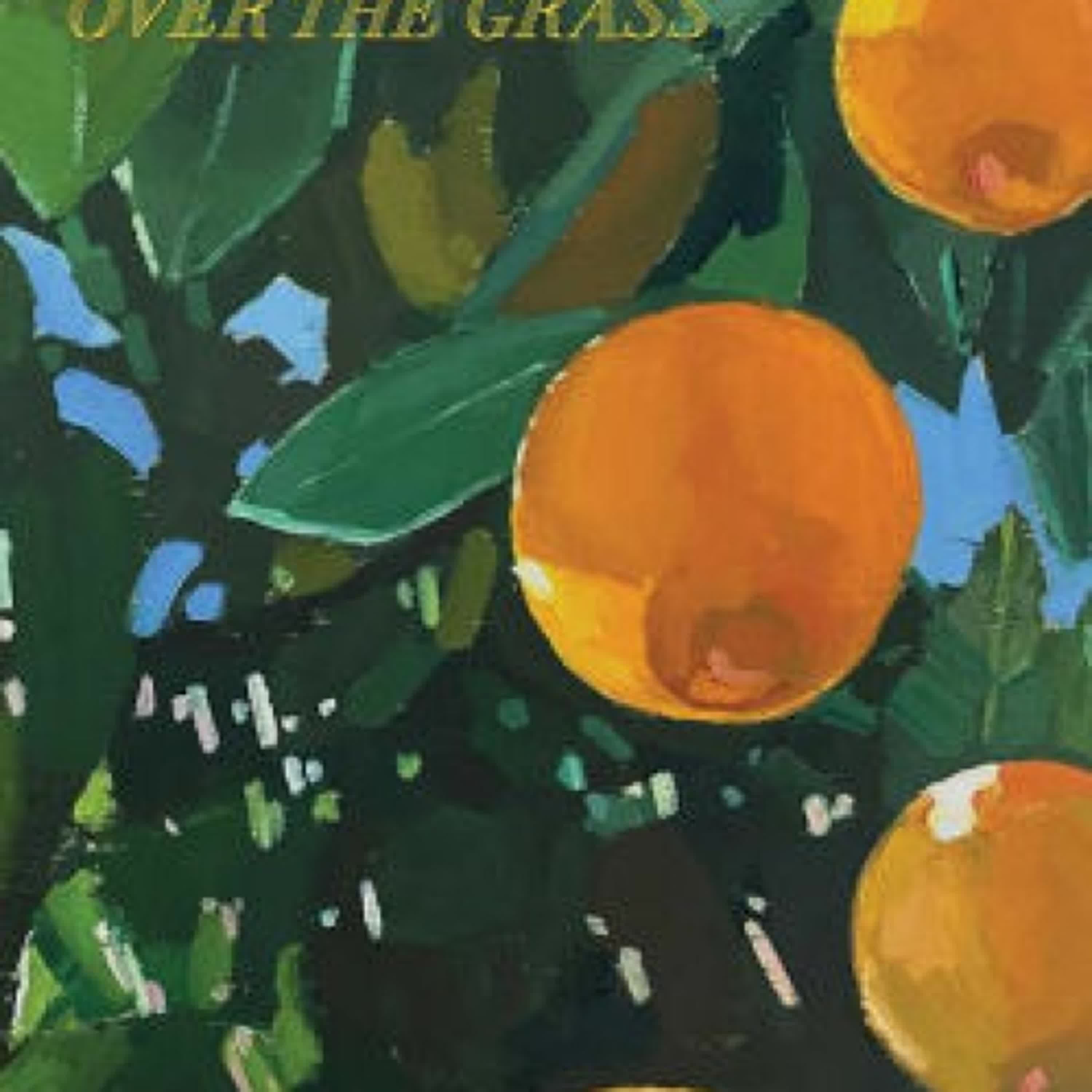 Violet Bent Backwards Over the Grass by Lana Del Rey on Iphone New Format