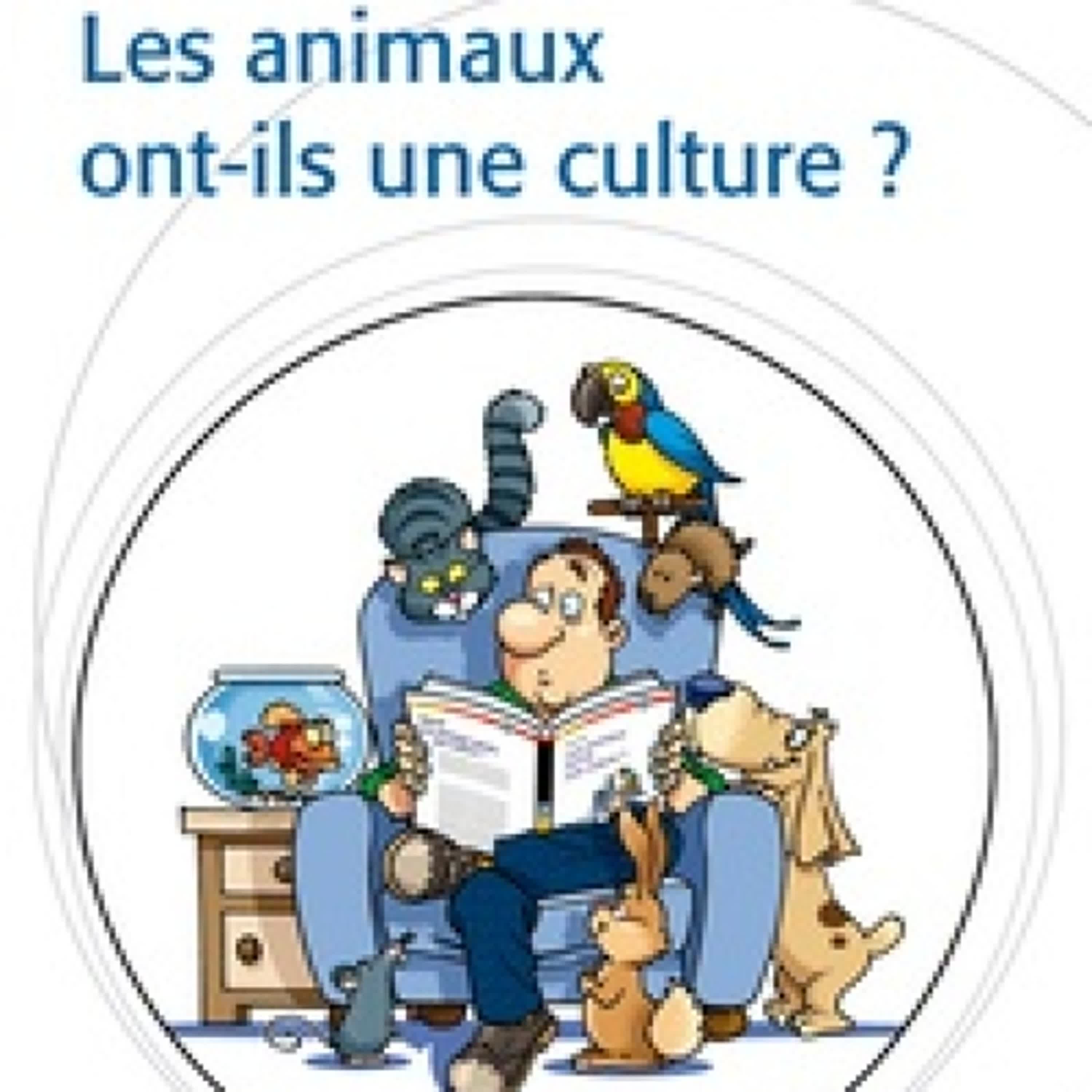 Télécharger PDF Les animaux ont-ils une culture ?