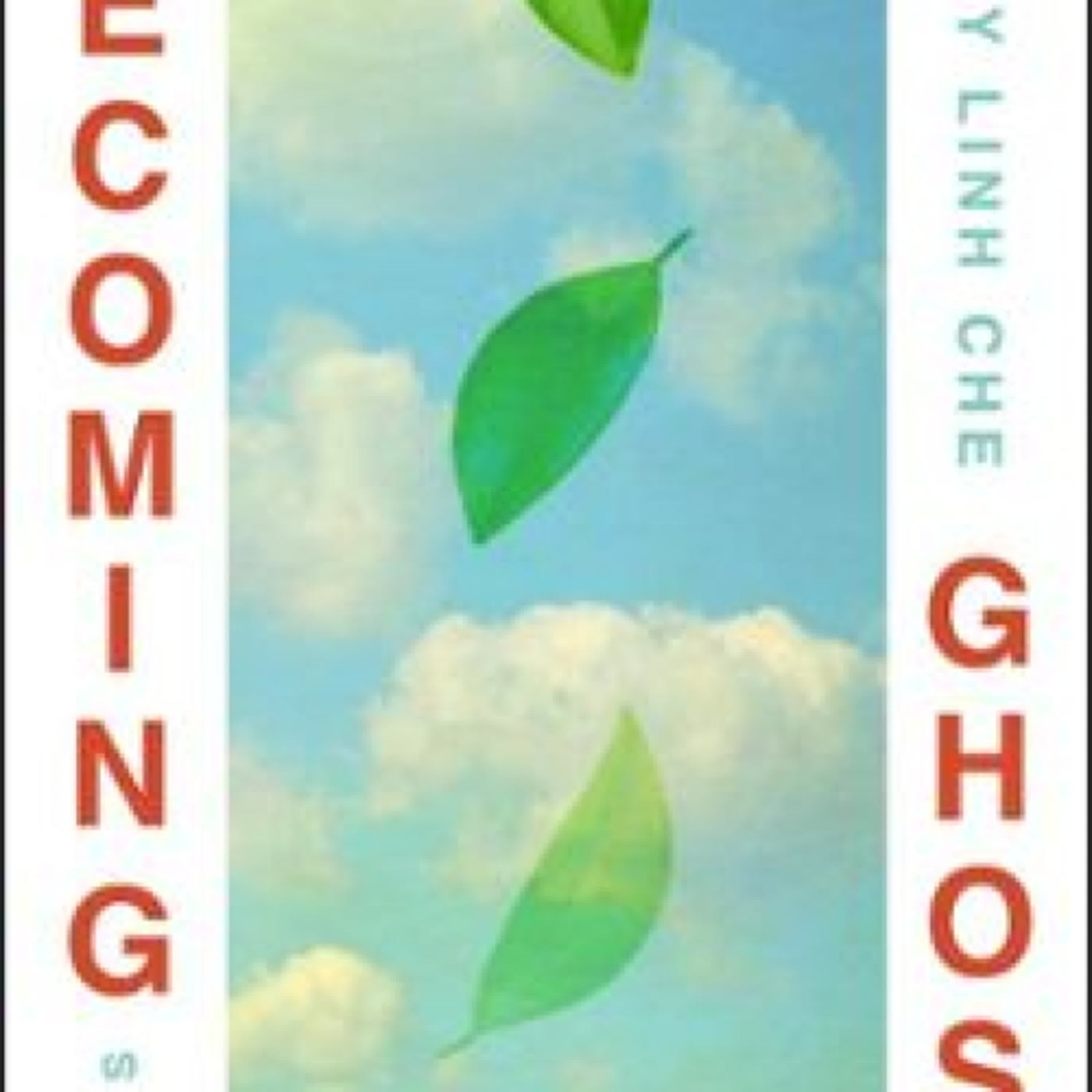 BECOMING GHOST leer pdf