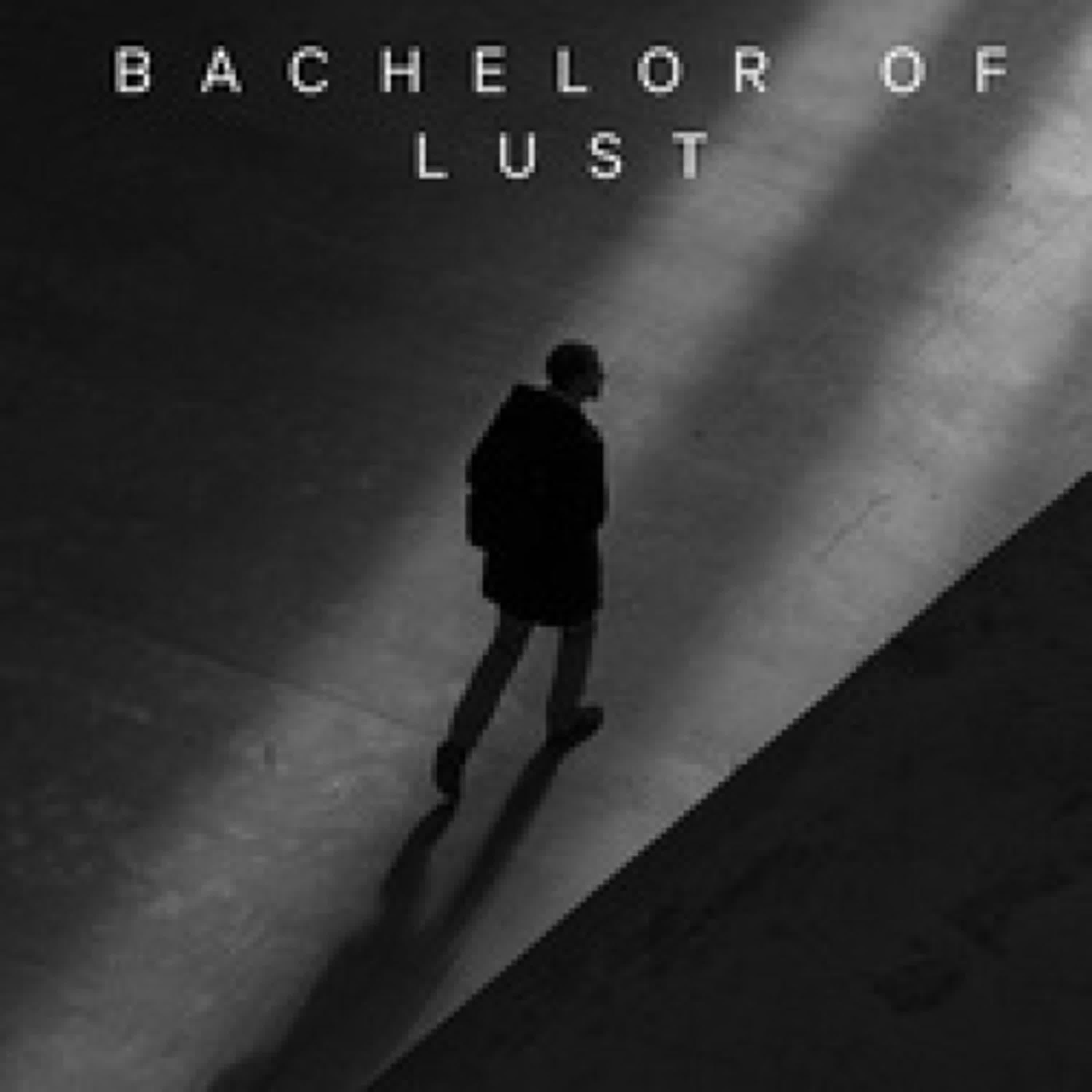 [PDF] Bachelor of Lust par Marty Damon