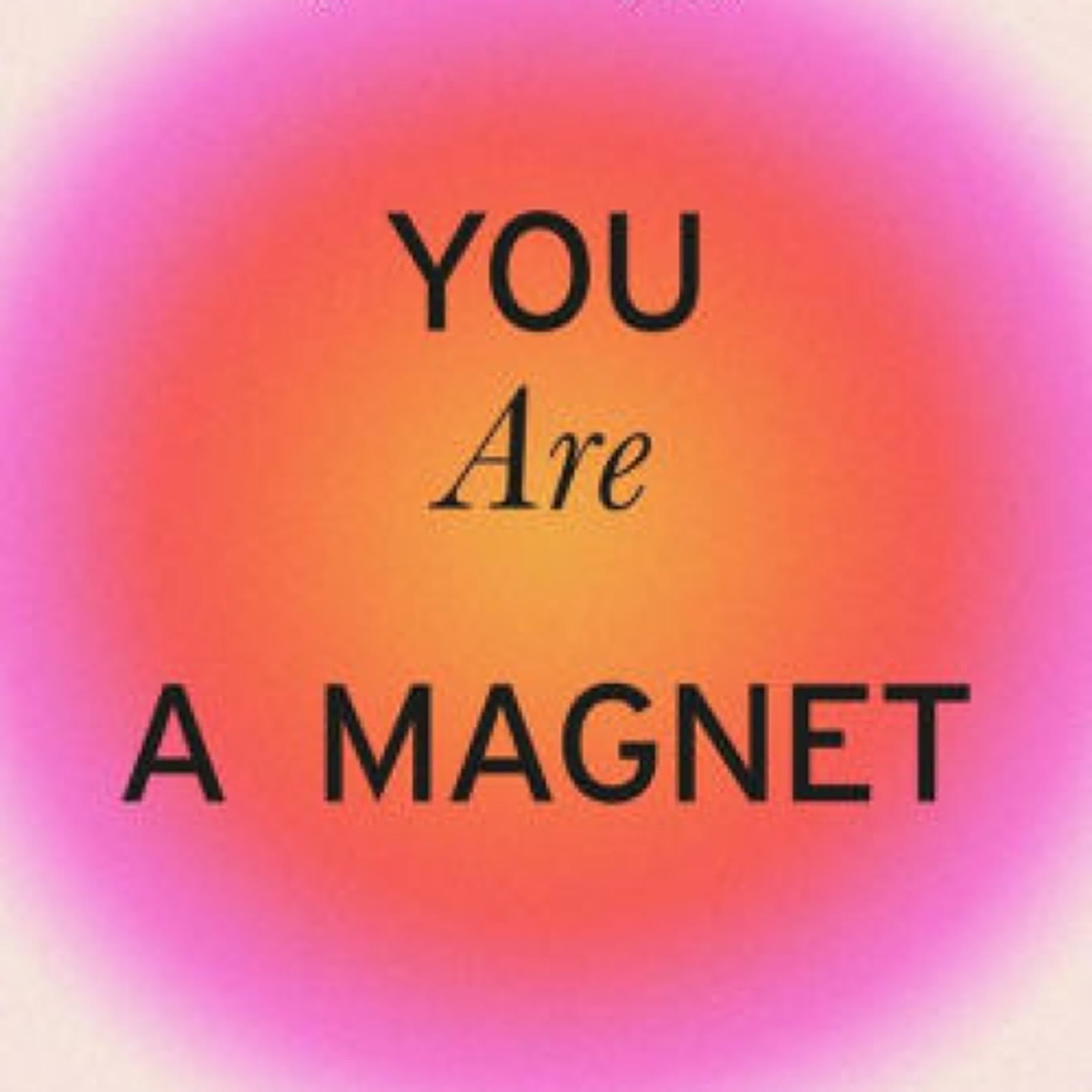 You Are a Magnet: Guiding Principles for a Magnetic and Joyful Life by Amber Lyon on Audiobook New