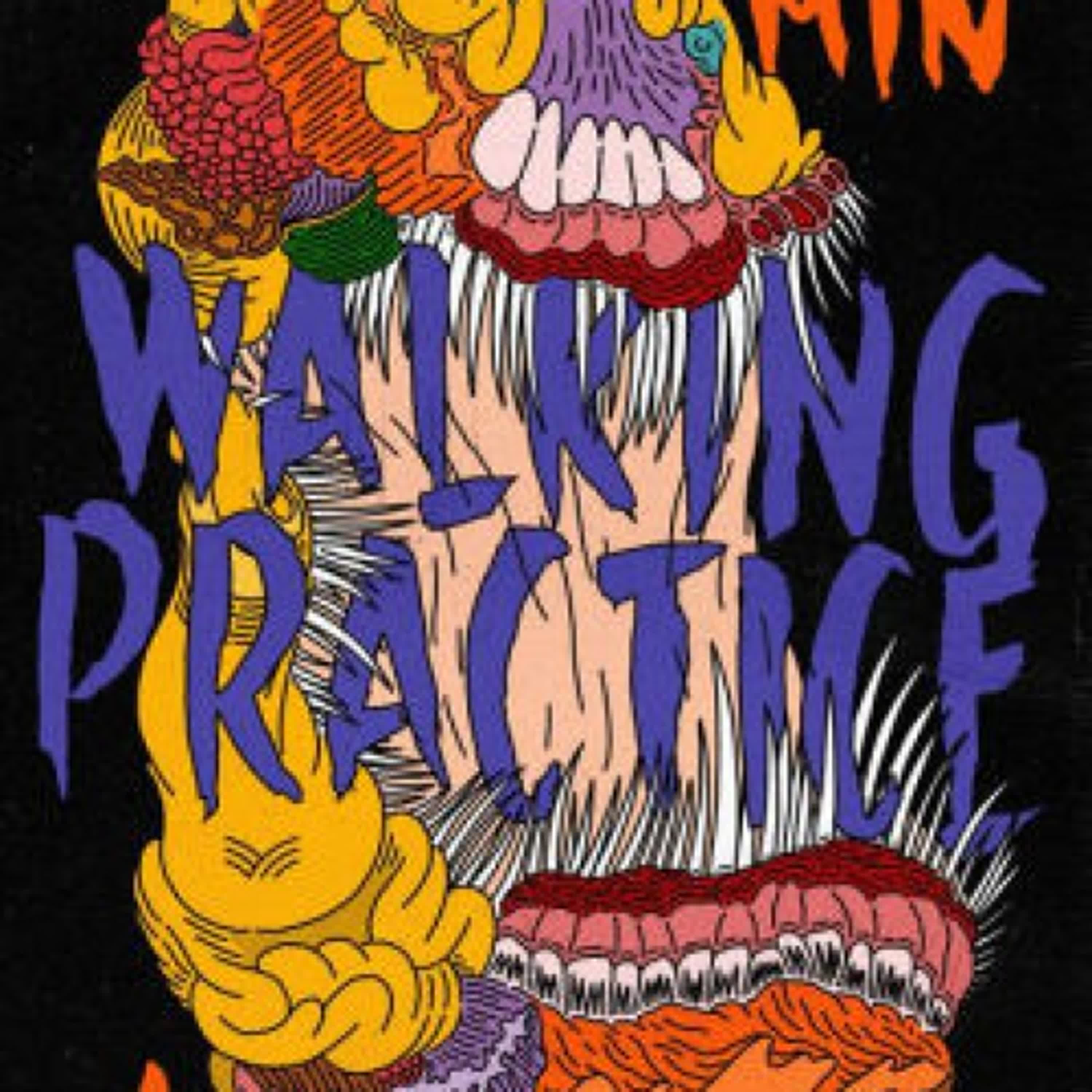Walking Practice: A Novel by Dolki Min, Victoria Caudle on Audiobook New