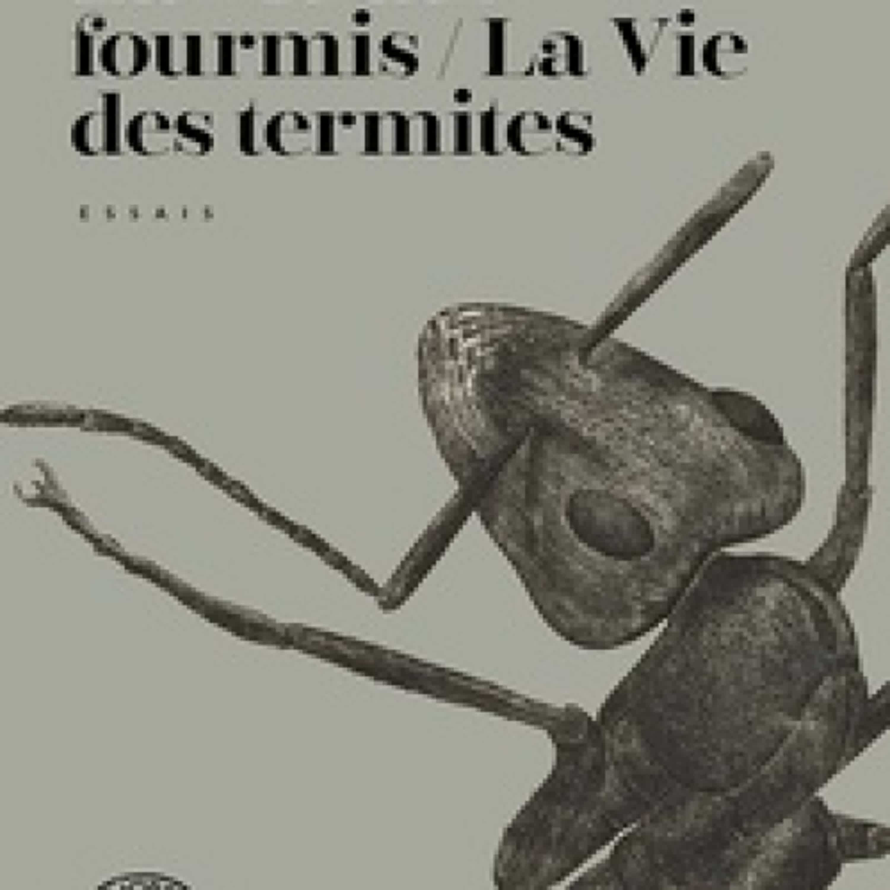 TÉLÉCHARGEMENTS La vie des fourmis / La vie des termites