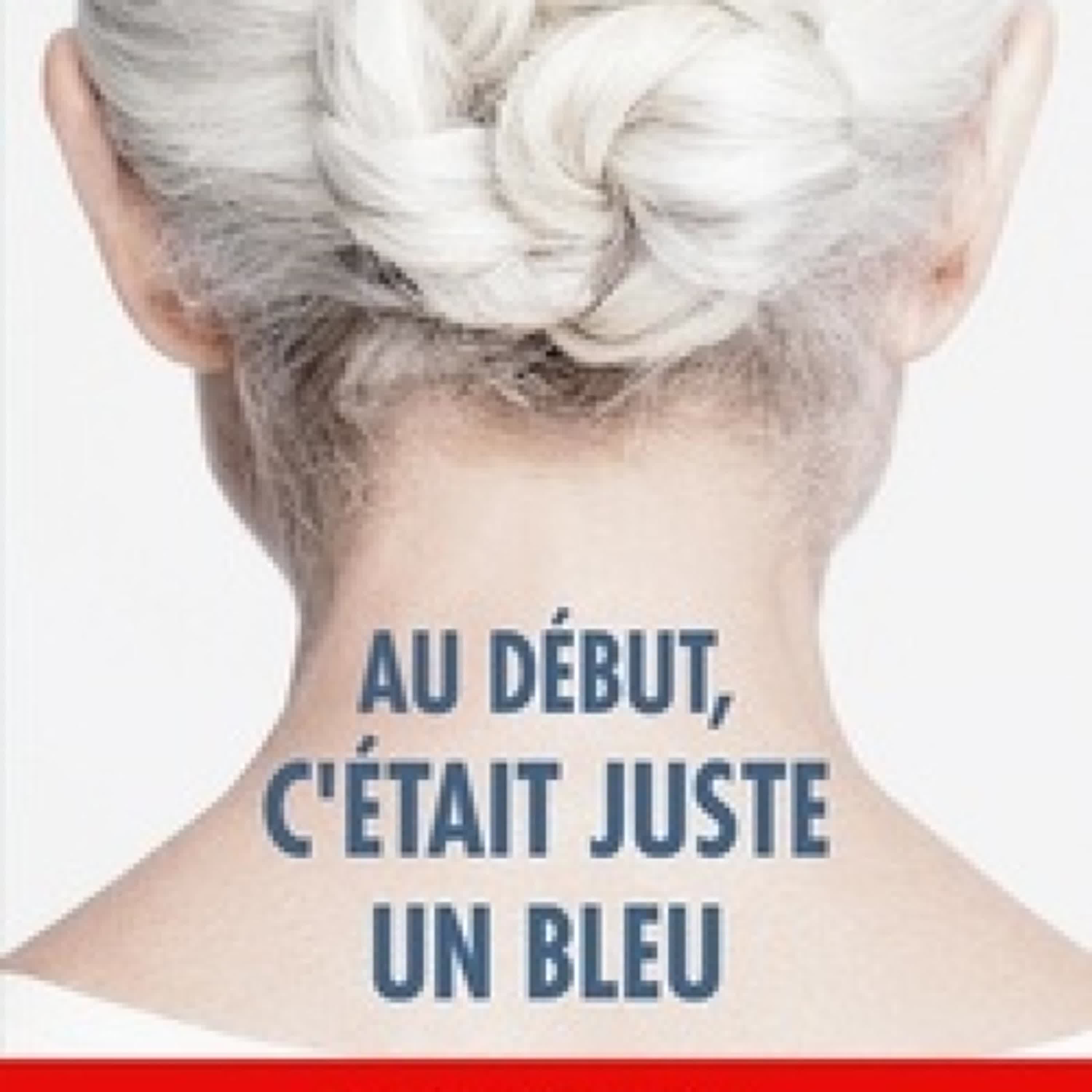 [PDF] Au début, c'était juste un bleu téléchargement