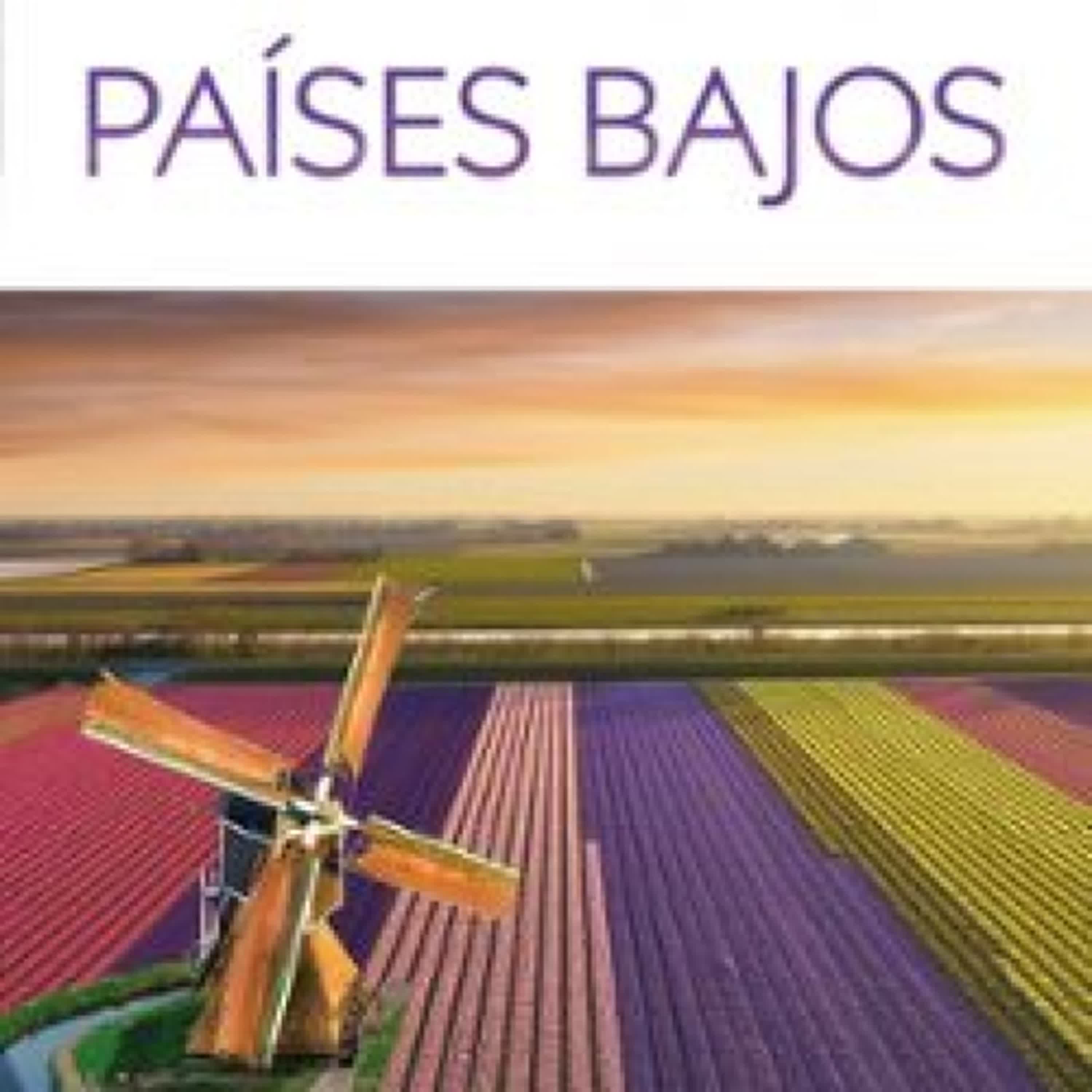 PAÍSES BAJOS 2025 (GUÍAS VISUALES) leer el libro pdf