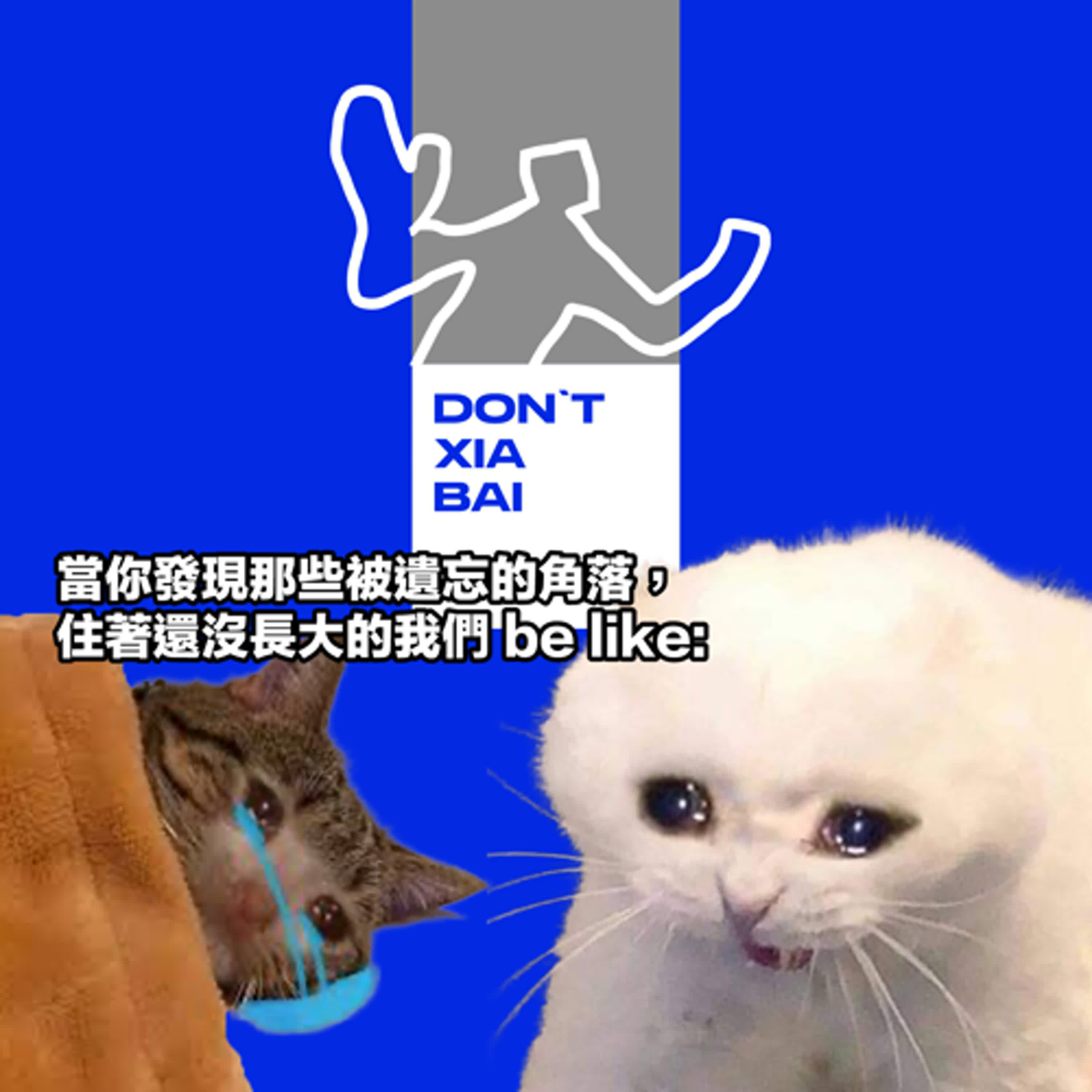 回憶殺系列，從國小神鞋到多摩君，被時代洪流沖走的東東 (還有我...) episode artwork