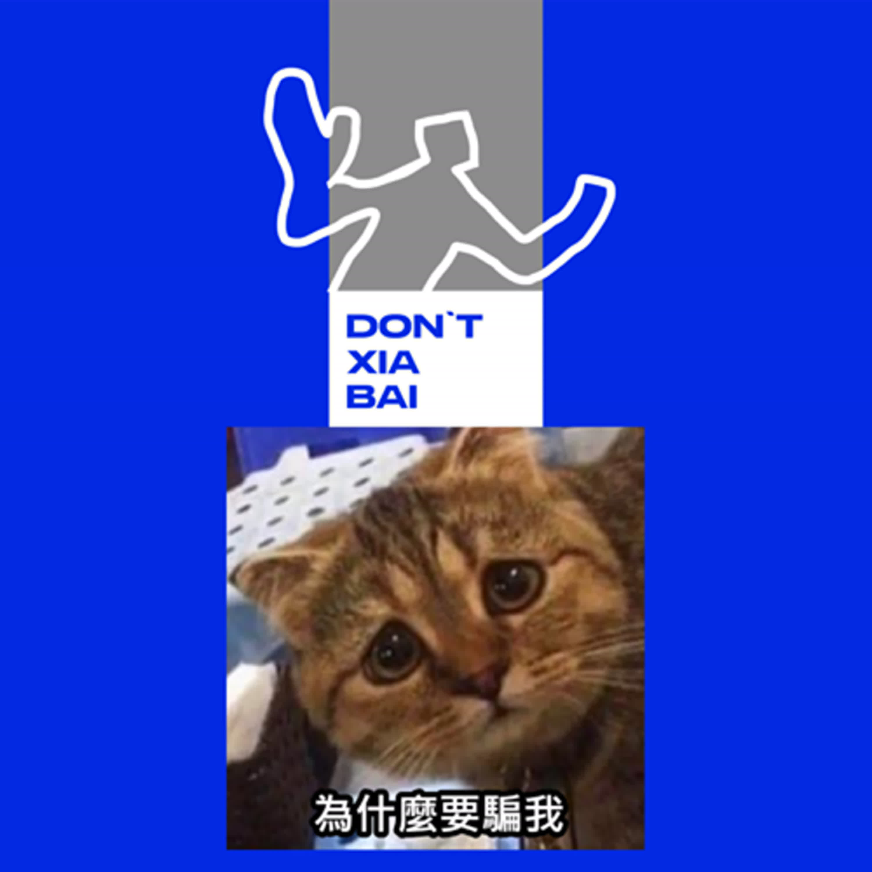 為什麼要騙我🥺