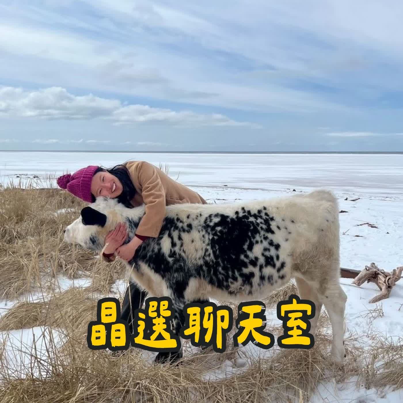 V006 晶選聊天室 | 2026 加拿大打工度假｜第一站怎麼選？｜8個地點的真實體驗心得｜feat. Anita 