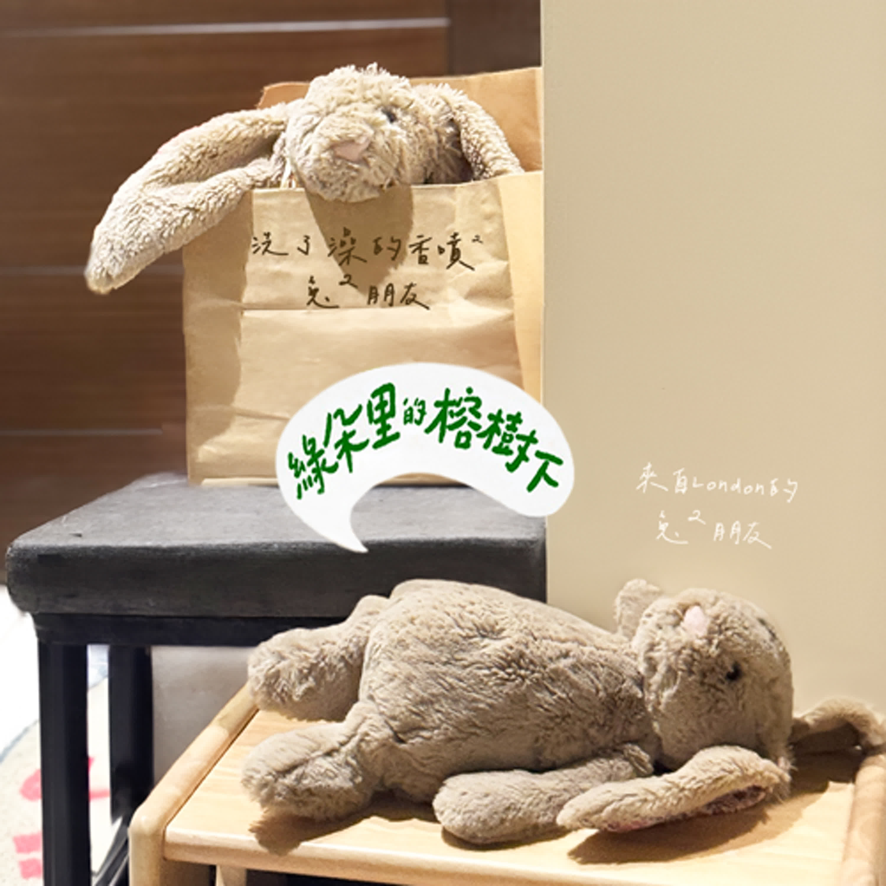 EP.43 新娘倒數十日、咖啡與移地育兒準備，還有兔兔後來怎麼了？ episode artwork