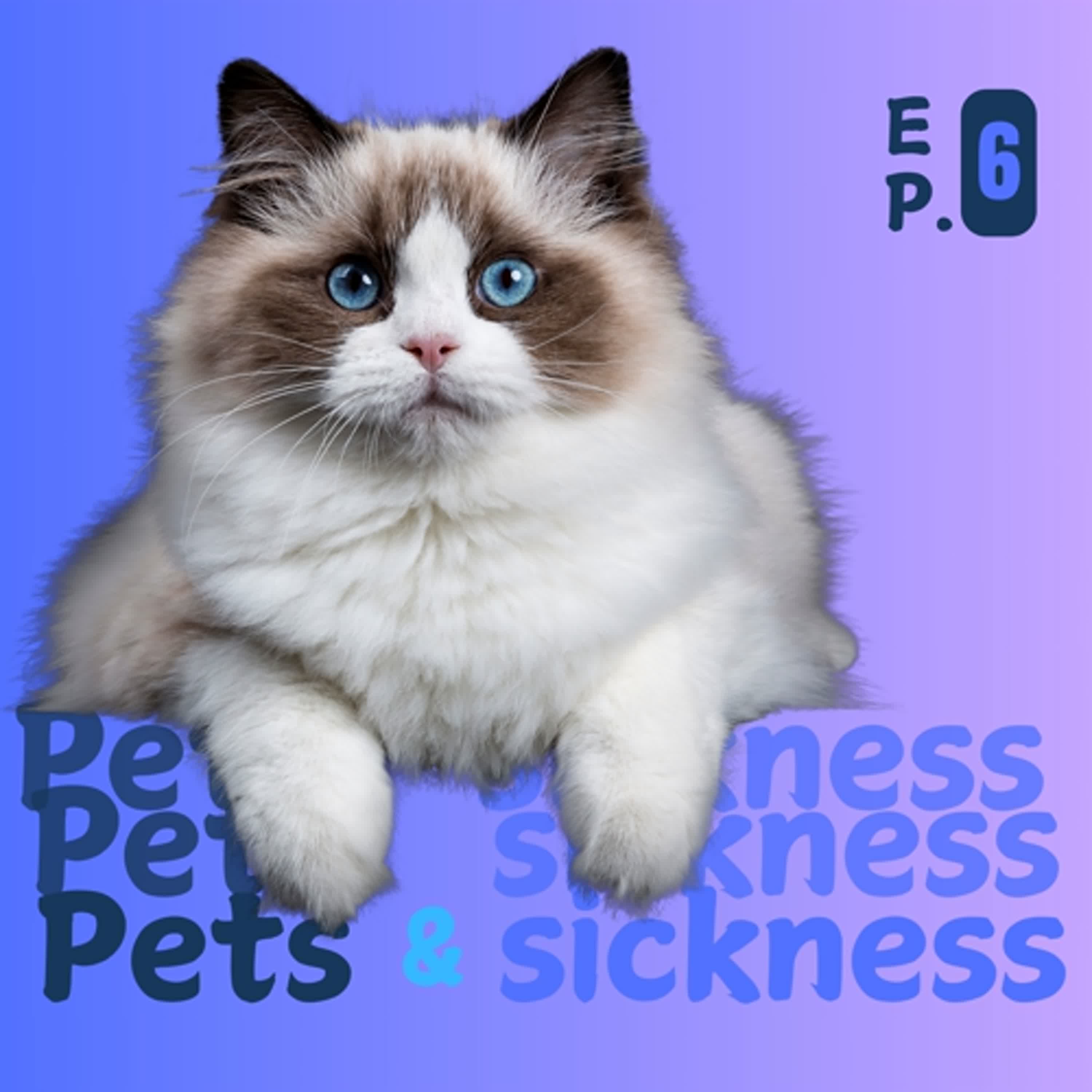 Ep.6 Life update: pets & sickness 生活更新 Ep.6 Life update: pets & sickness 生活更新