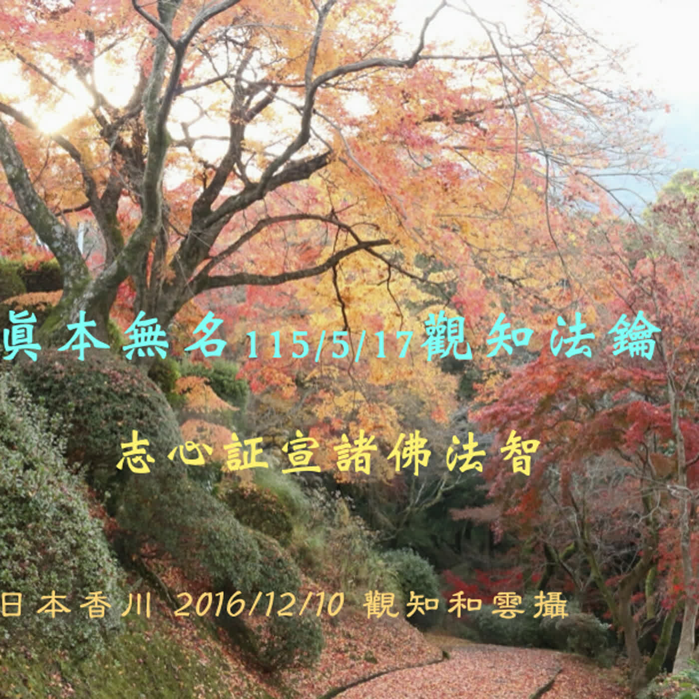 眞本無名115/5/17觀知法鑰 episode artwork