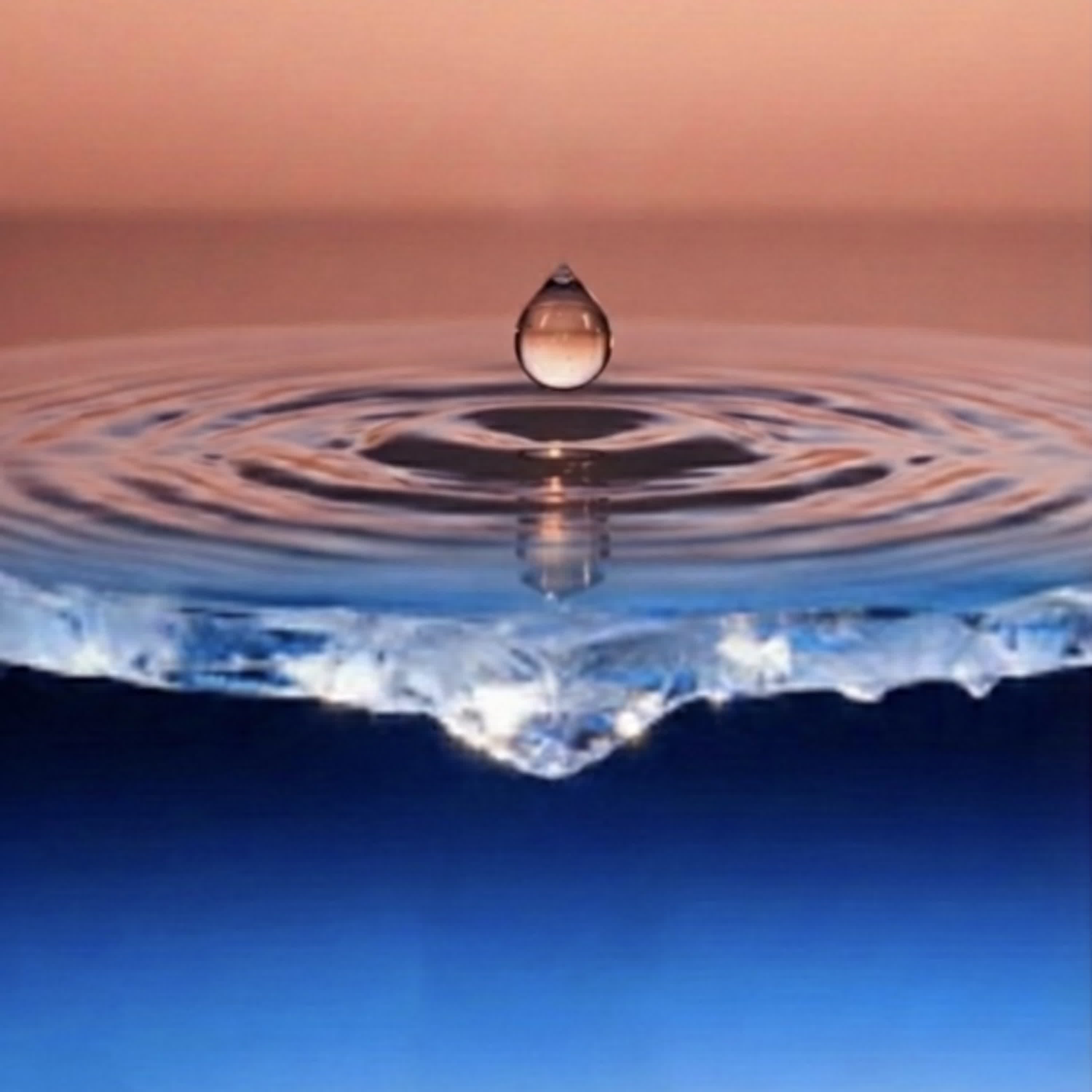 如來智114/12/21觀知和雲修行略說 如來智114/12/21觀知和雲修行略說