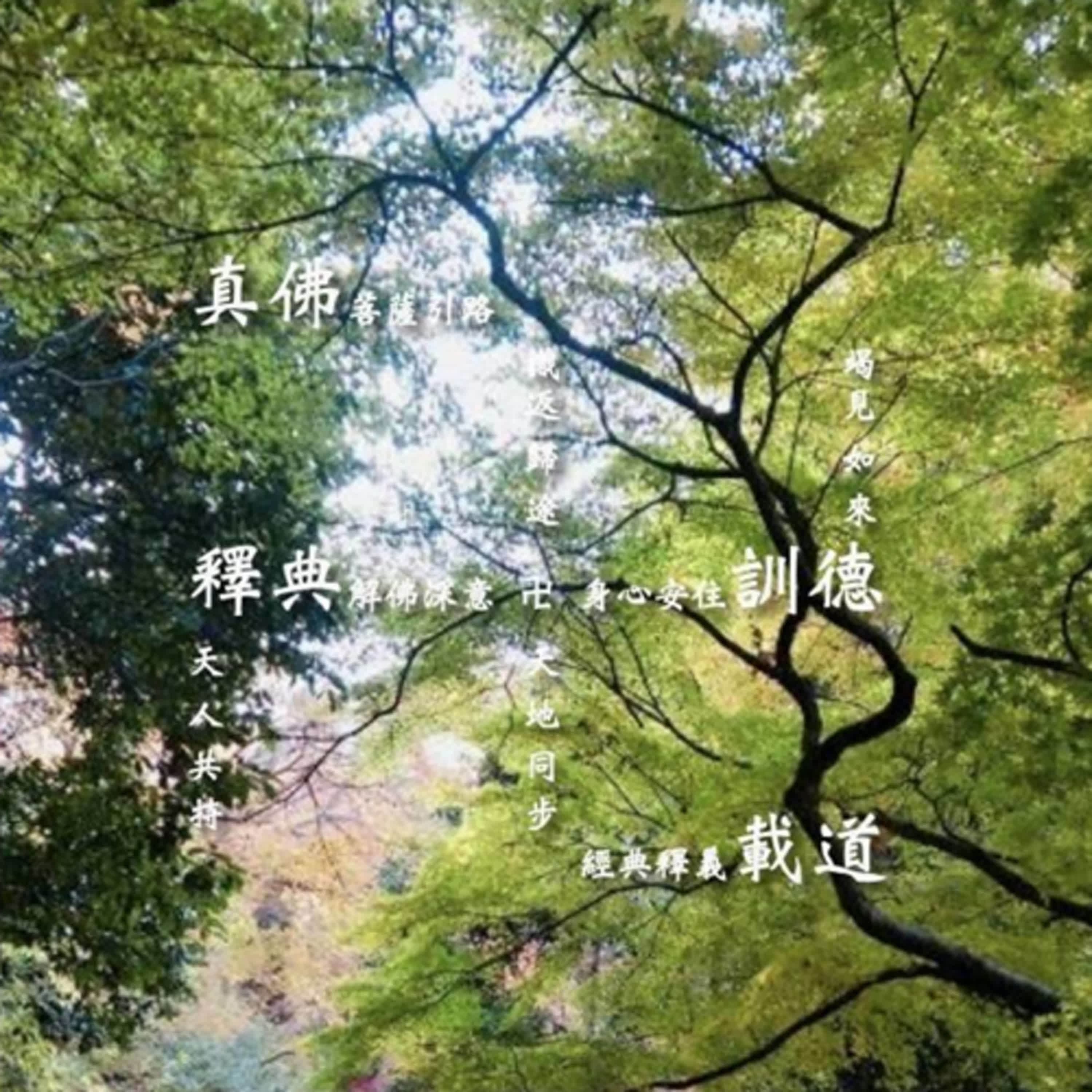 無名禪寺1121201法本導讀