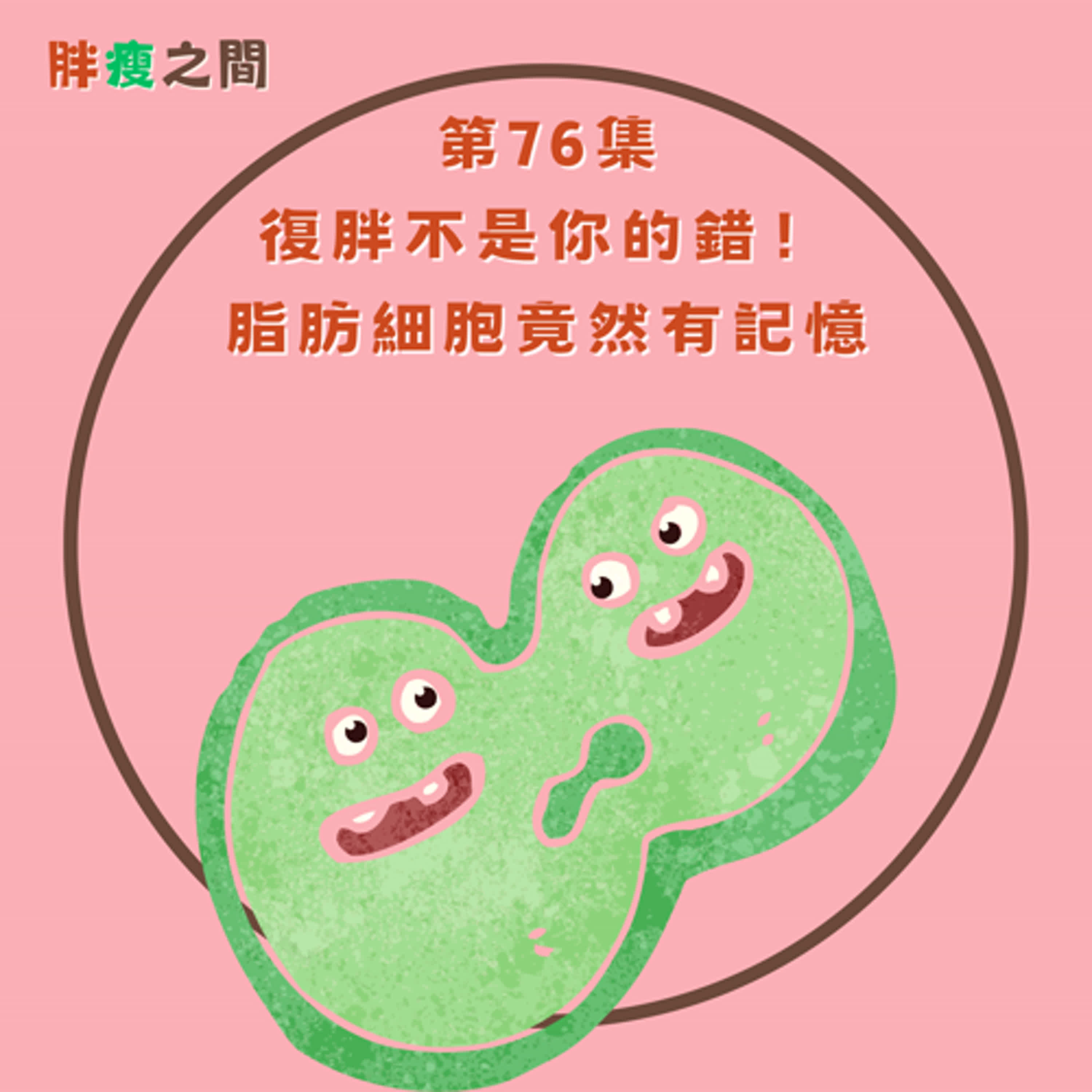第76集 復胖不是你的錯！脂肪細胞竟然有記憶