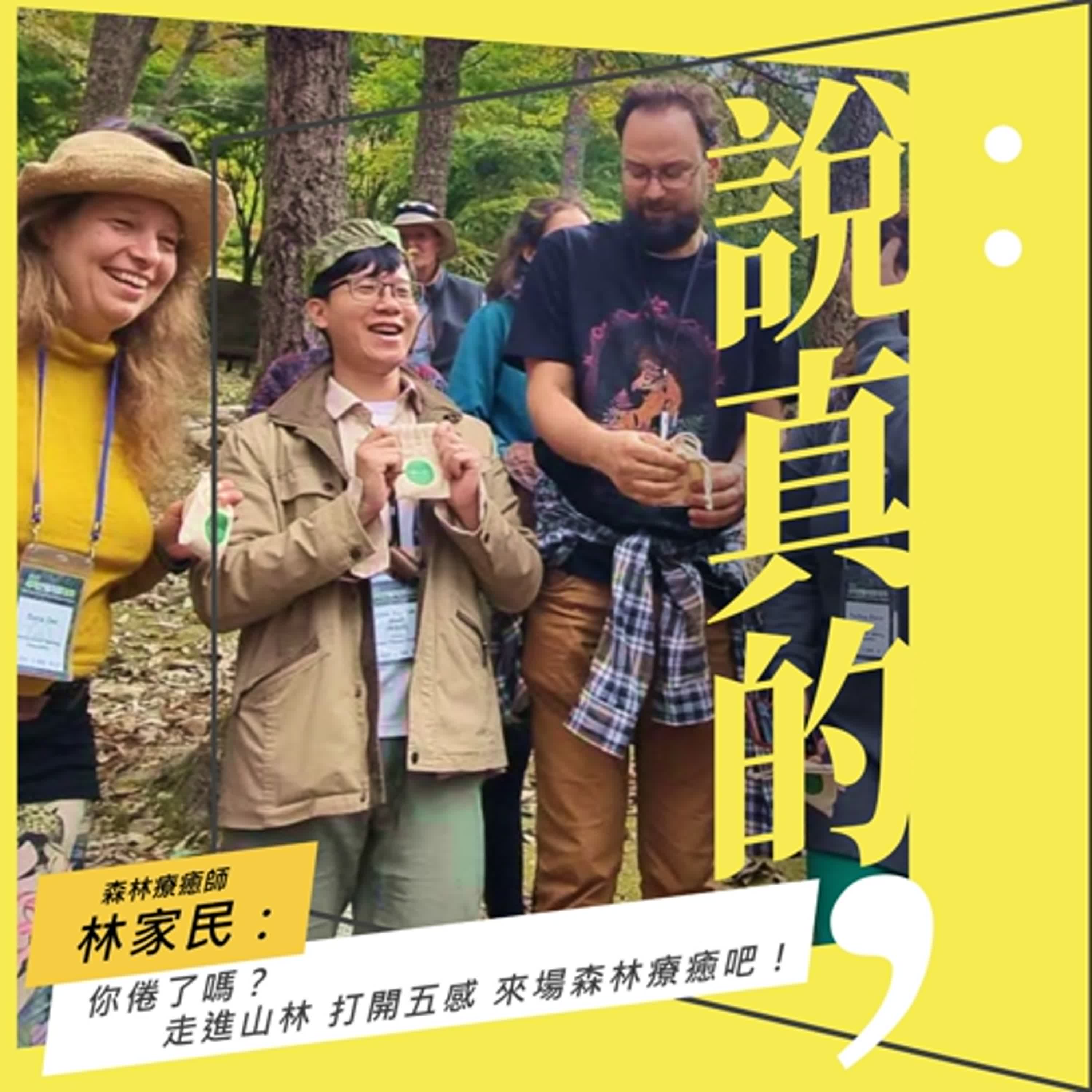你倦了嗎? 走進山林，打開五感，來場森林療癒吧｜森林療癒師 林家民｜彭志宇｜ episode artwork