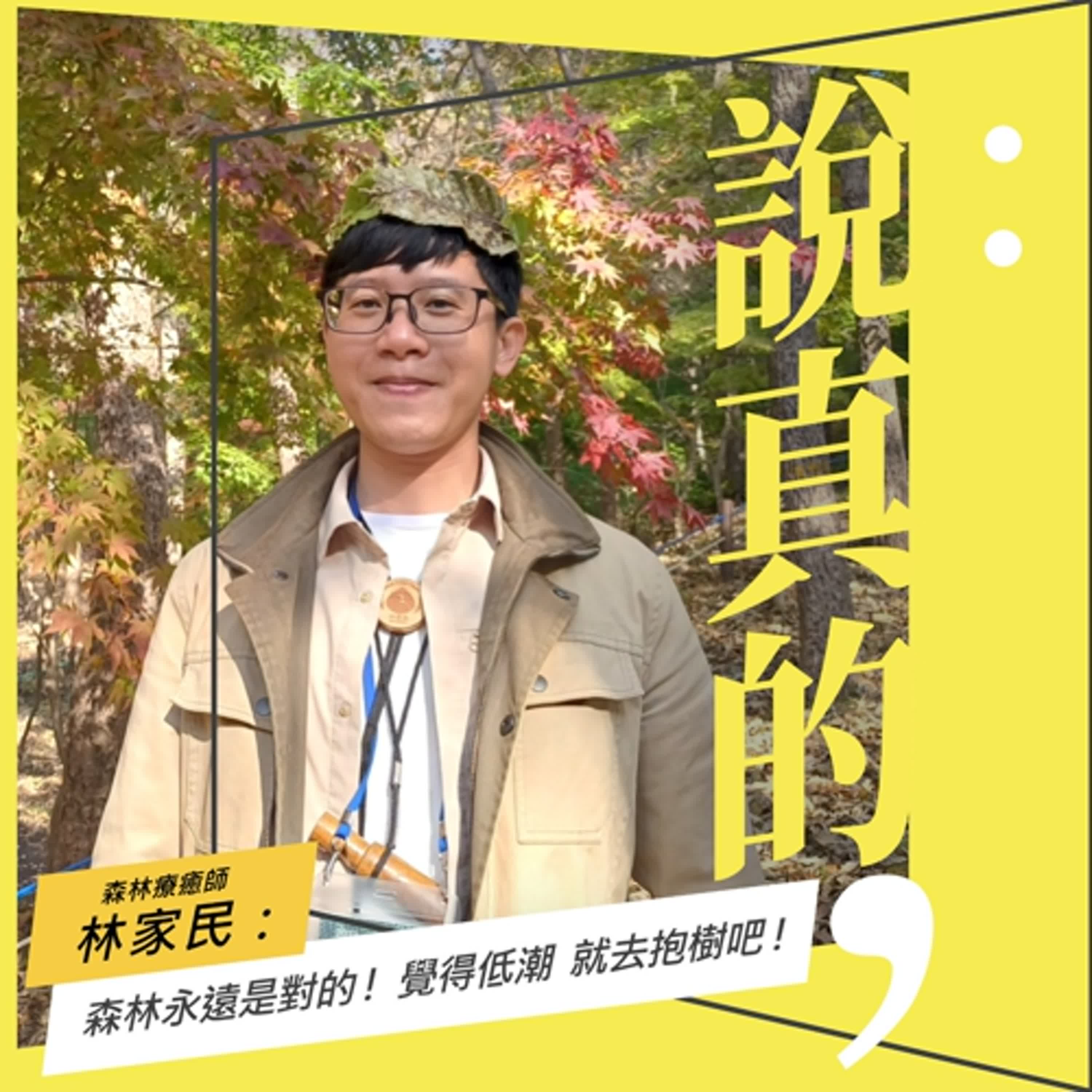 森林永遠是對的！覺得低潮，就去抱樹吧｜森林療癒師林家民｜彭志宇｜ episode artwork