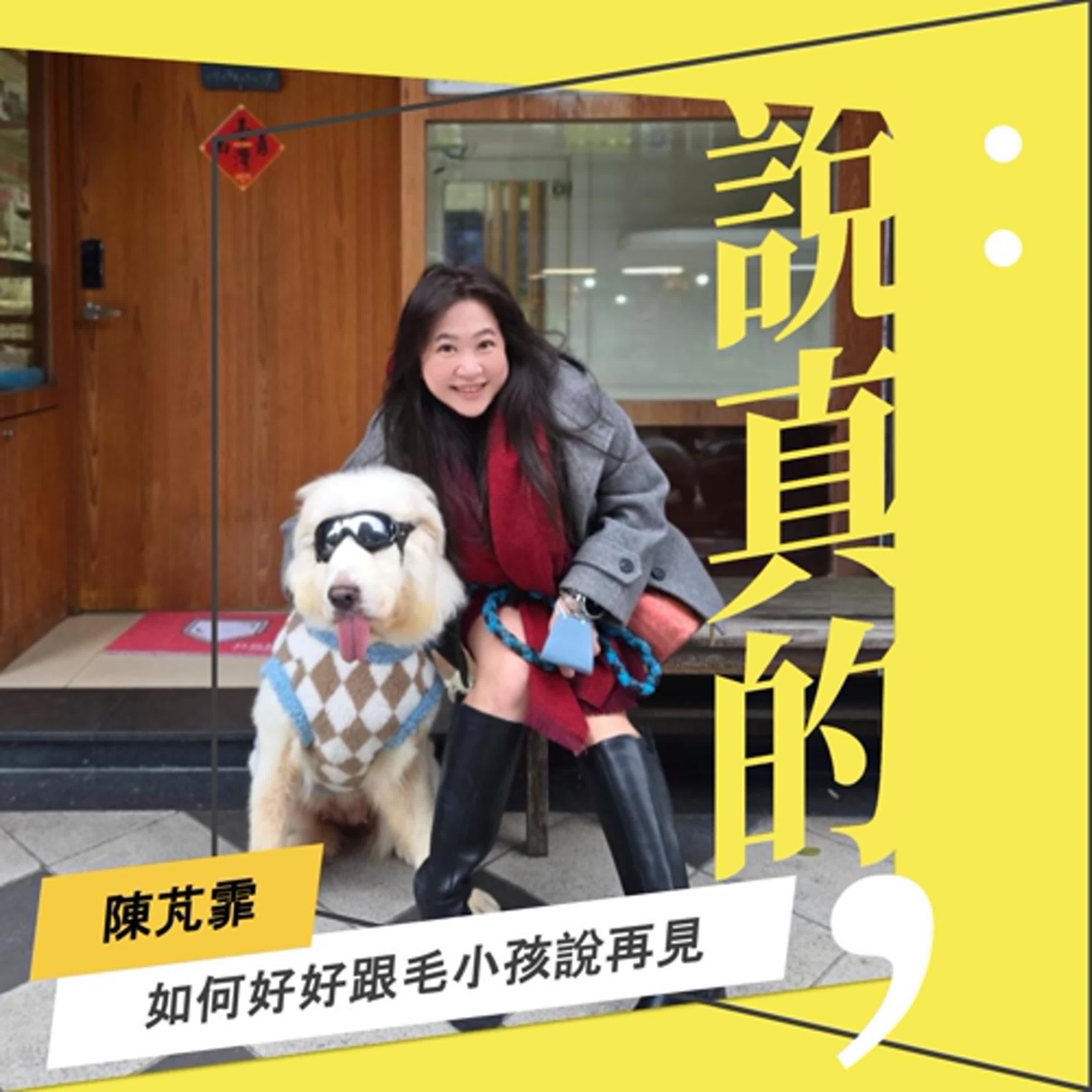 怎麼好好跟毛小孩說再見？飼主必修生死學分｜陳芃霏｜彭志宇｜