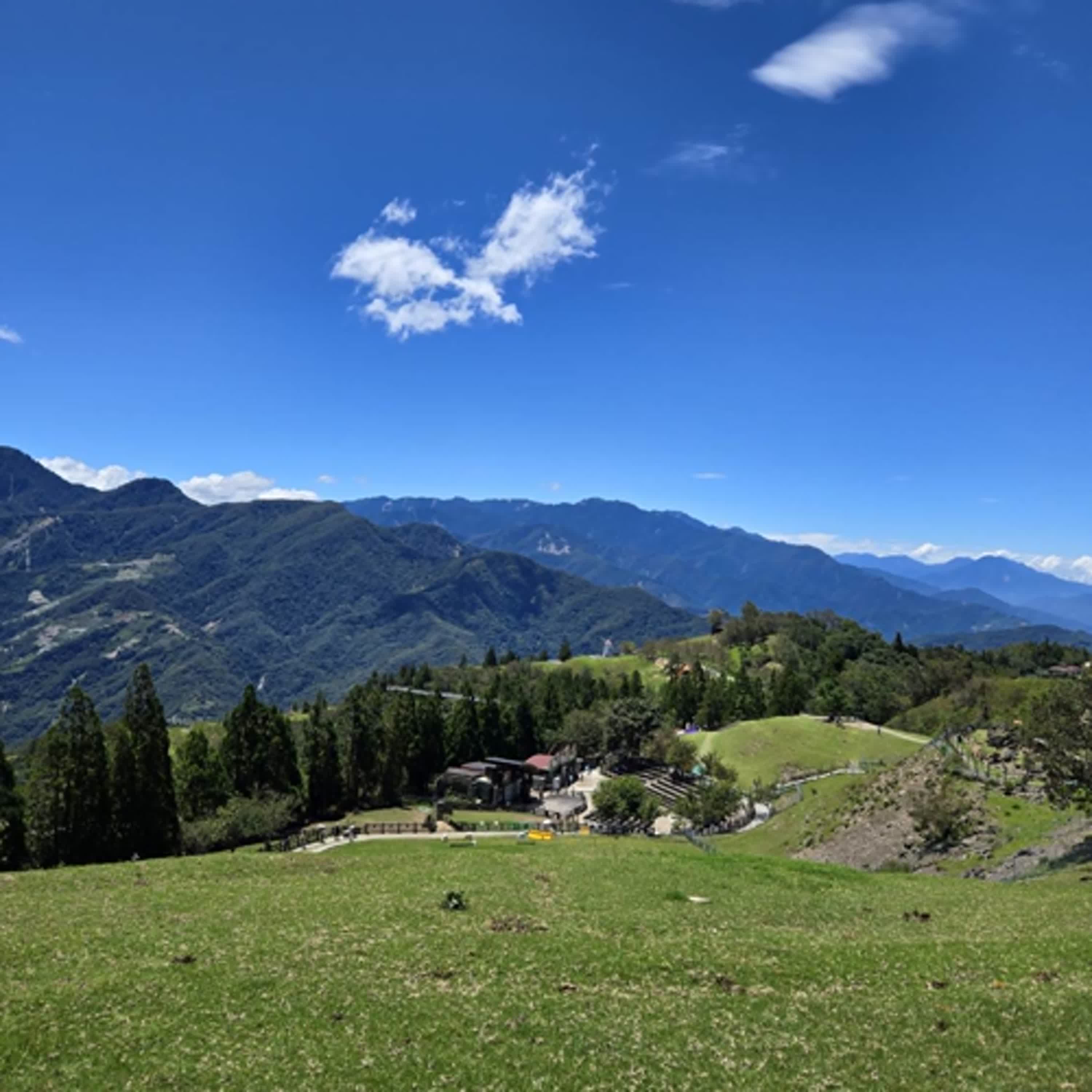 來去輕旅行│清境農場餵小羊+高空觀景步道！│A Lin
