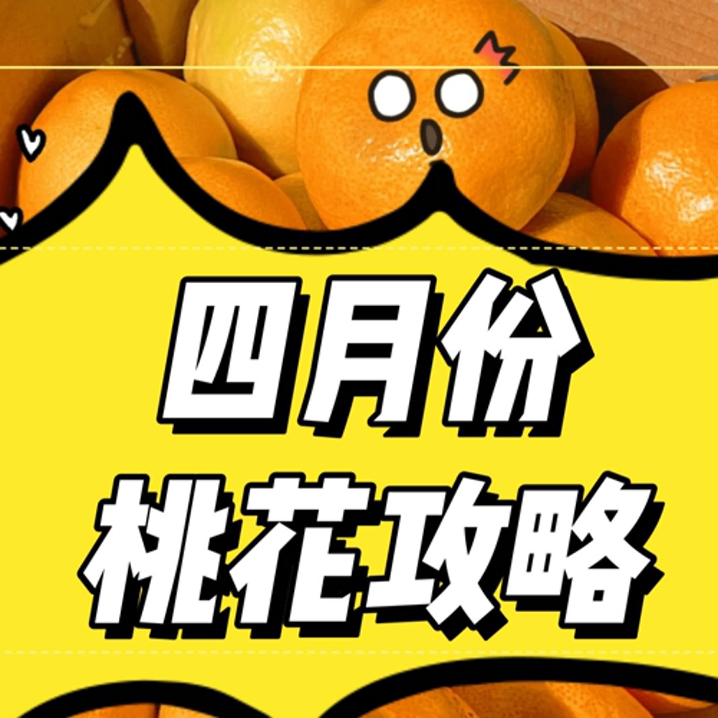 好運敲敲門│4月份春意濃-這樣做桃花運爆棚！│Summer夏天 episode artwork