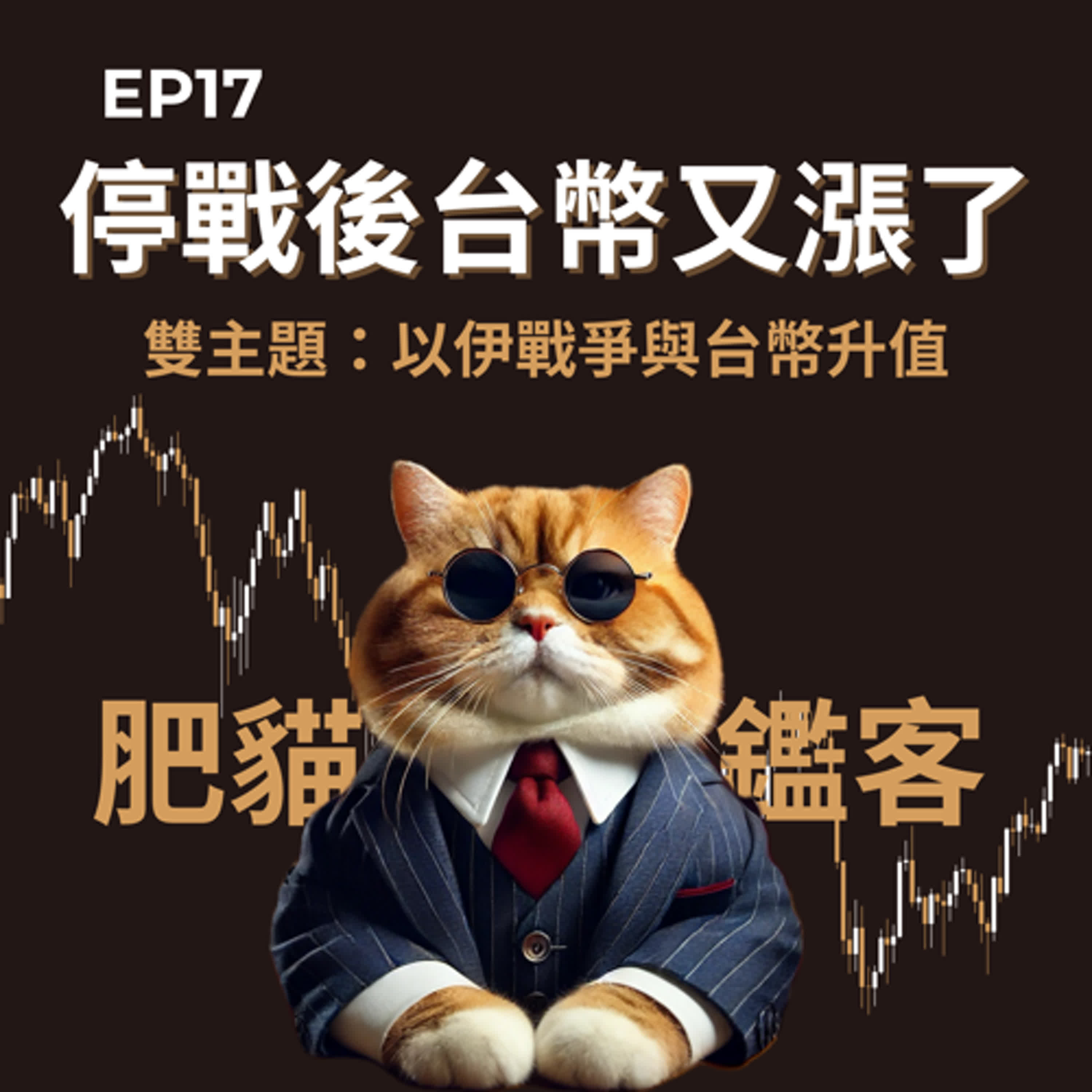 EP17｜停戰後台幣又漲了 雙主題：以伊戰爭與台幣升值 episode artwork