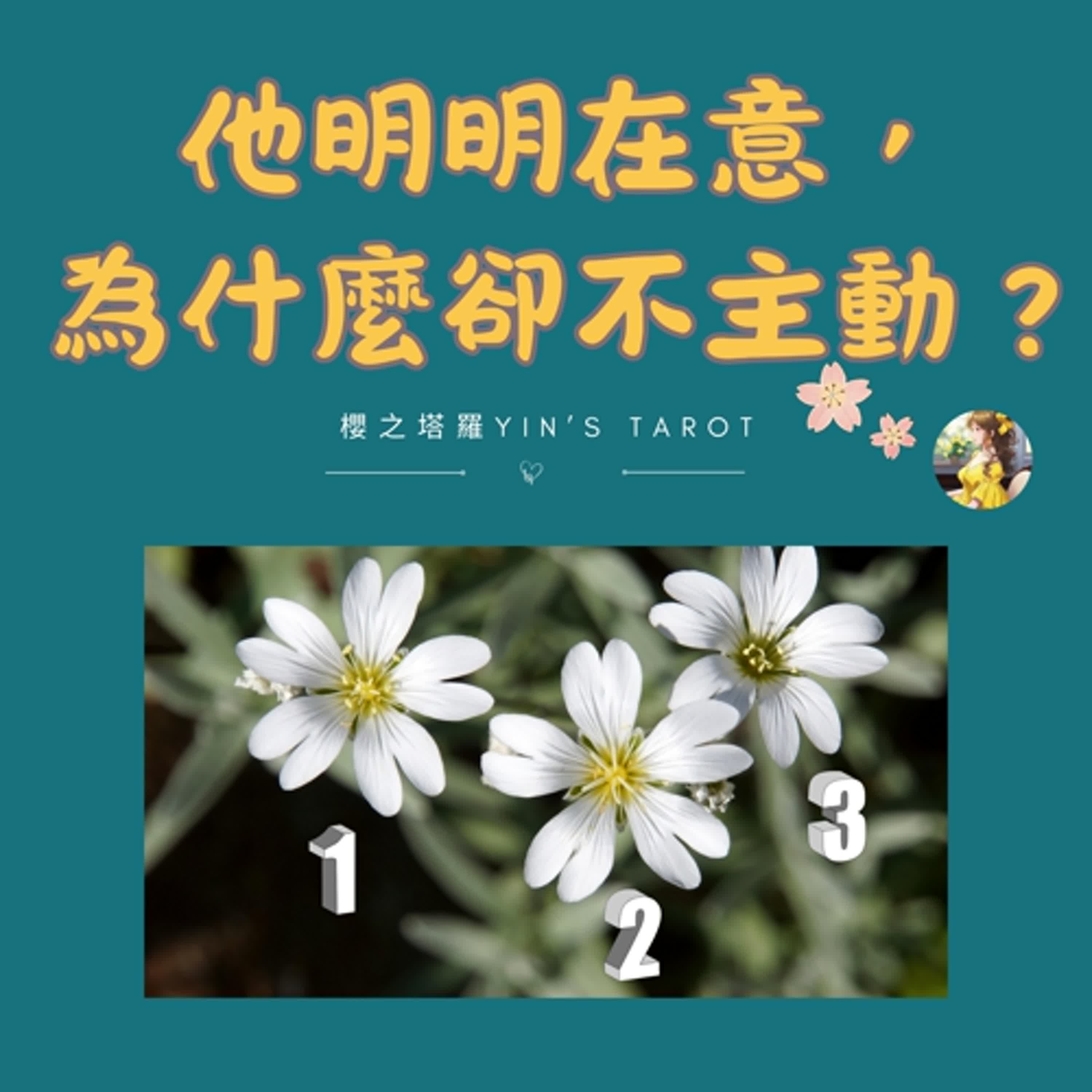【櫻小姐 Yin’s 櫻之塔羅】❤️他明明在意，為什麼不主動？｜關係觀察・心靈覺察系列｜大眾占卜｜感情關係｜Timeless