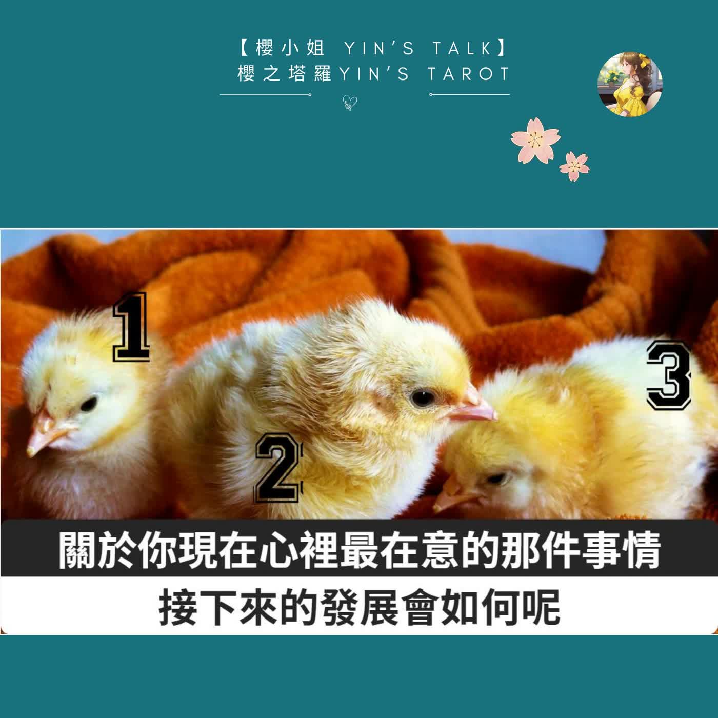 關於你現在心裡最在意的那件事，接下來的發展會如何？｜櫻小姐 Yin’s Talk｜櫻之塔羅系列