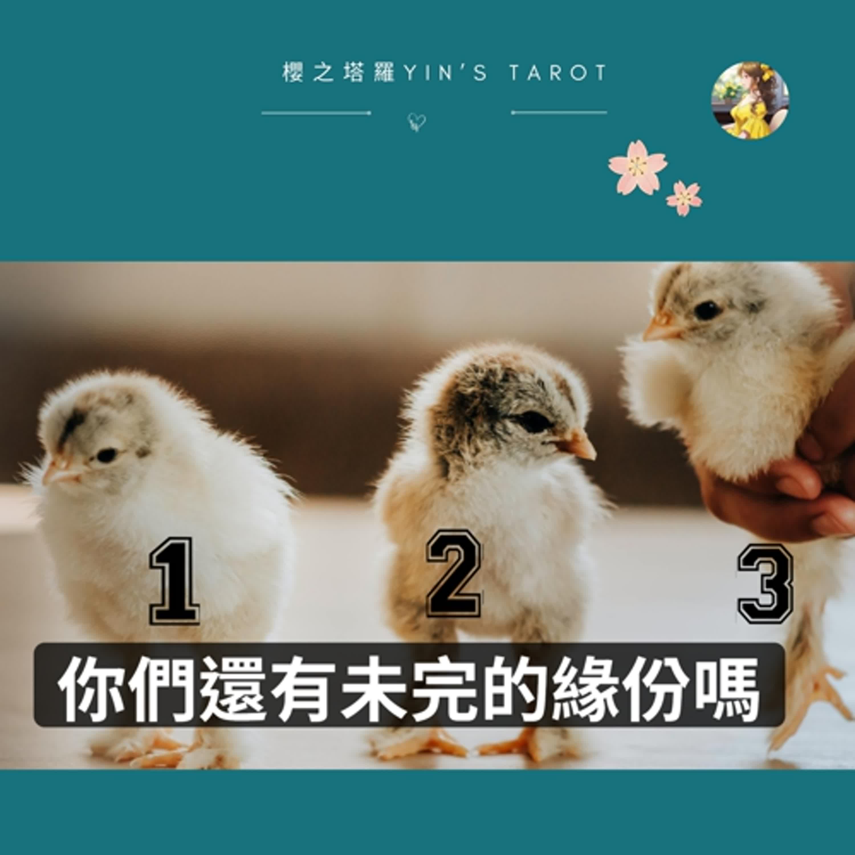 【塔羅占卜】你們還有未完的緣分嗎？｜愛情占卜｜櫻之塔羅 Yin’s Tarot