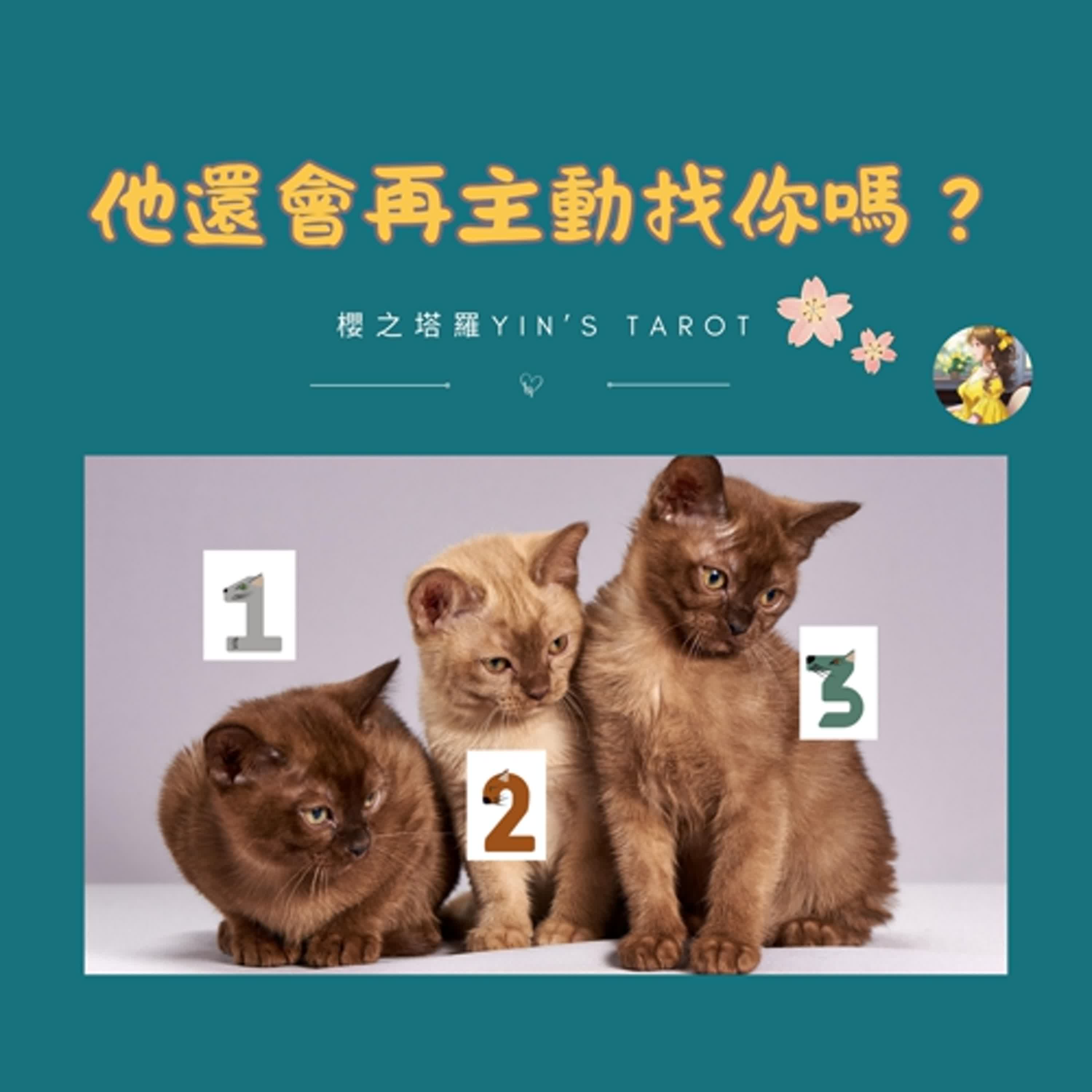 【塔羅占卜】他還會再主動找你嗎？💔 ｜愛情占卜｜櫻之塔羅 Yin’s Tarot