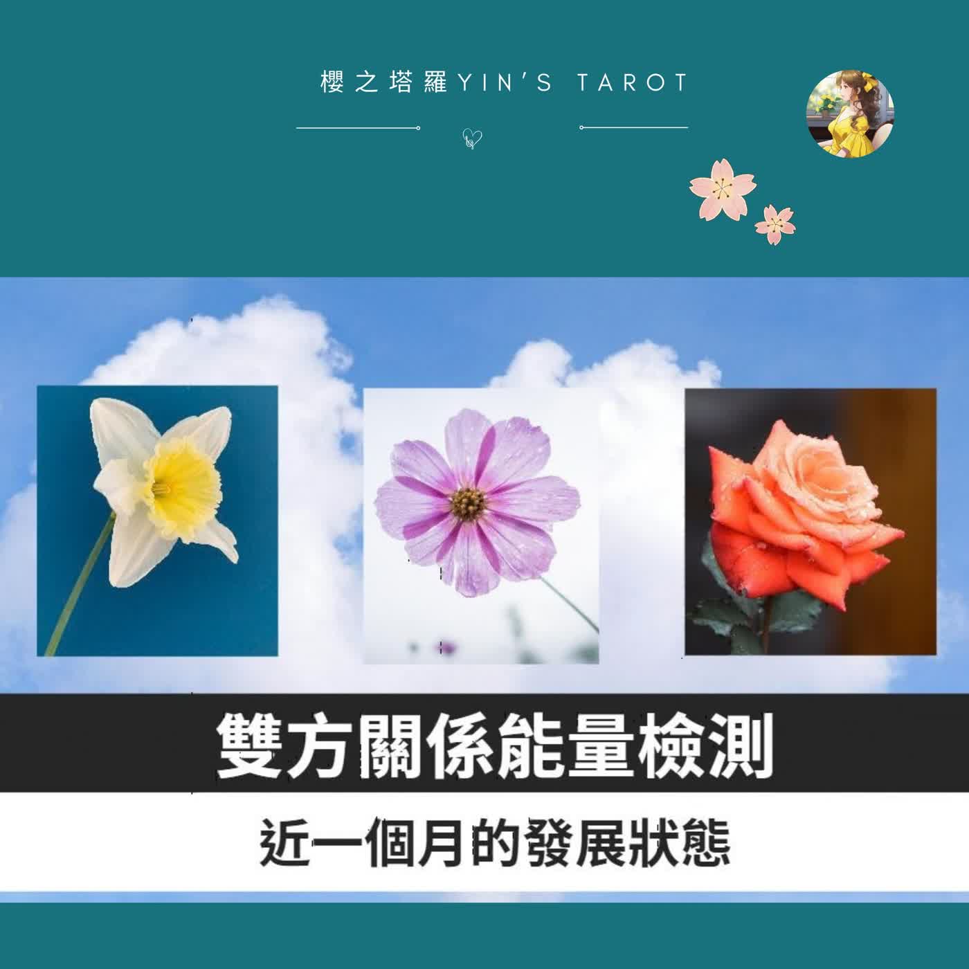 雙方關係能量檢測｜近期一個月的真實發展