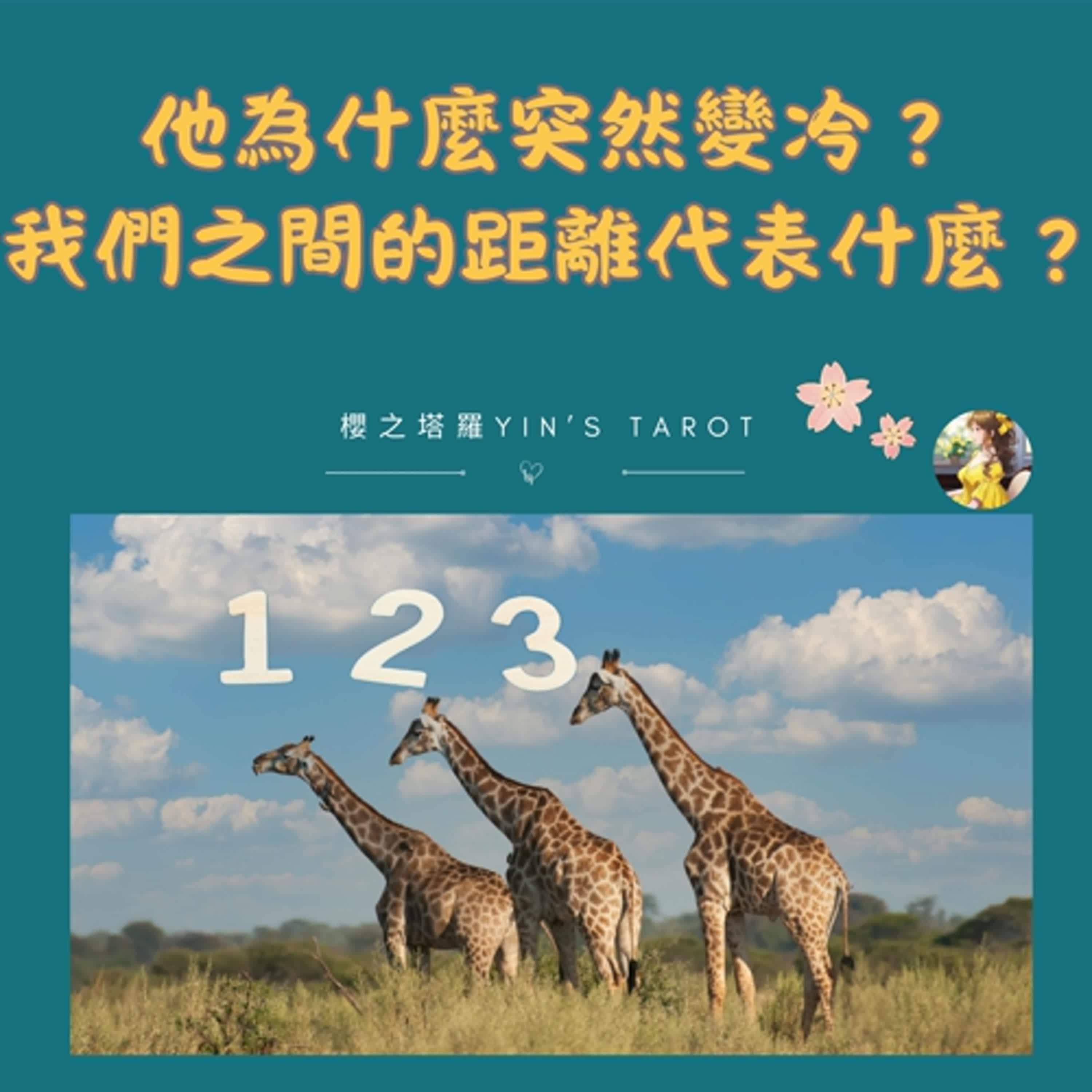 【塔羅占卜】他為什麼突然變冷？💔 我們之間的距離代表什麼？｜愛情占卜｜他還在意我嗎？｜櫻之塔羅 Yin’s Tarot