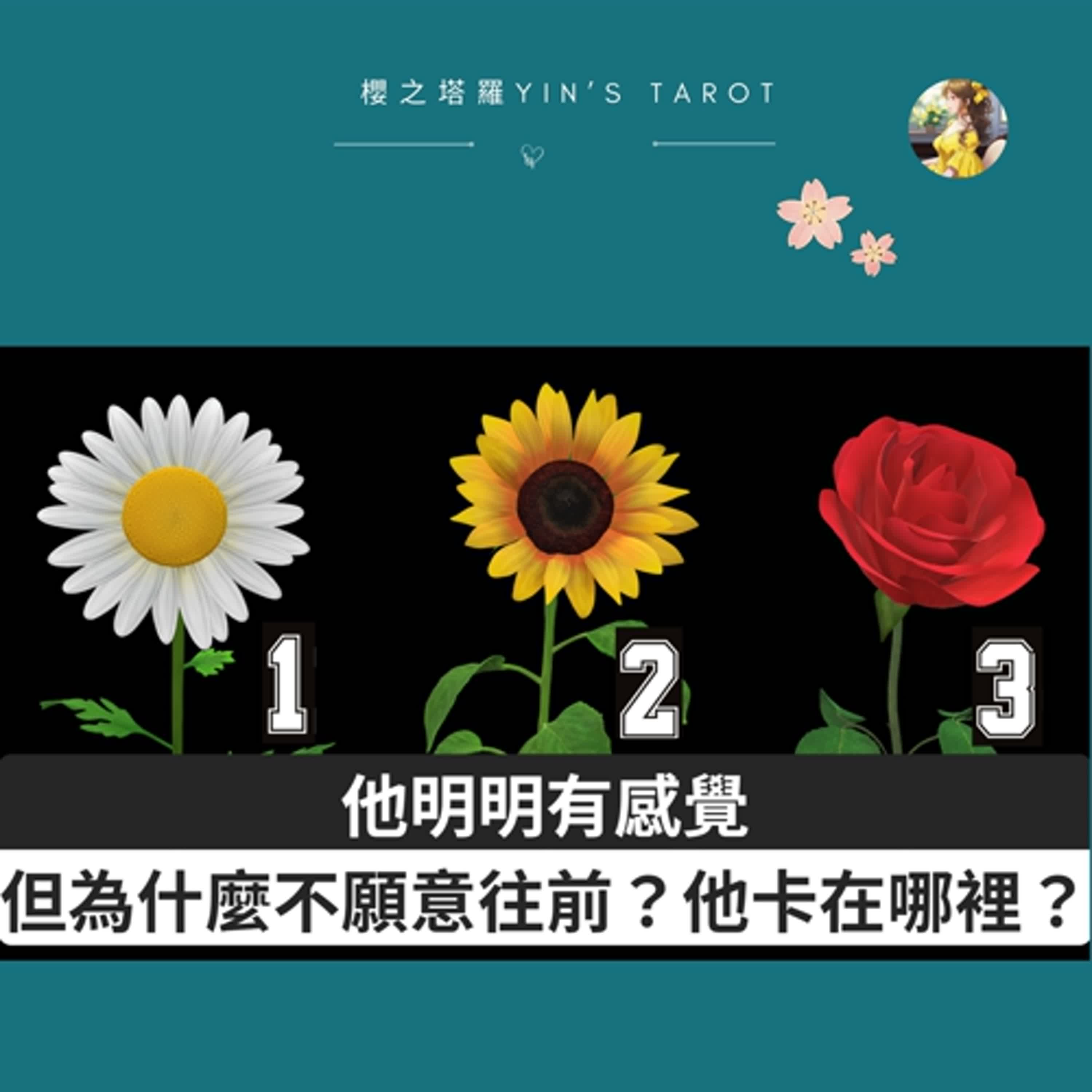 【塔羅占卜】他明明有感覺，但為什麼不願意往前？他卡在哪裡？｜愛情占卜｜櫻之塔羅 Yin’s Tarot