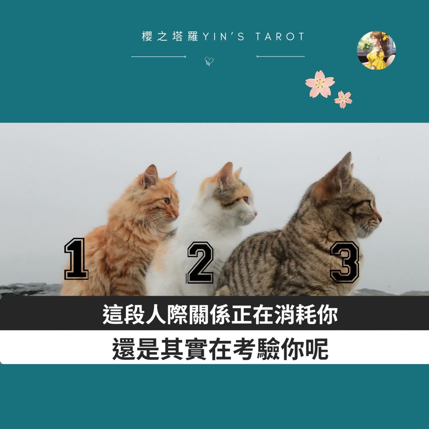 【塔羅占卜】這段人際關係，正在消耗你，還是其實在考驗你？｜人際關係占卜｜櫻之塔羅 Yin’s Tarot ✨✨