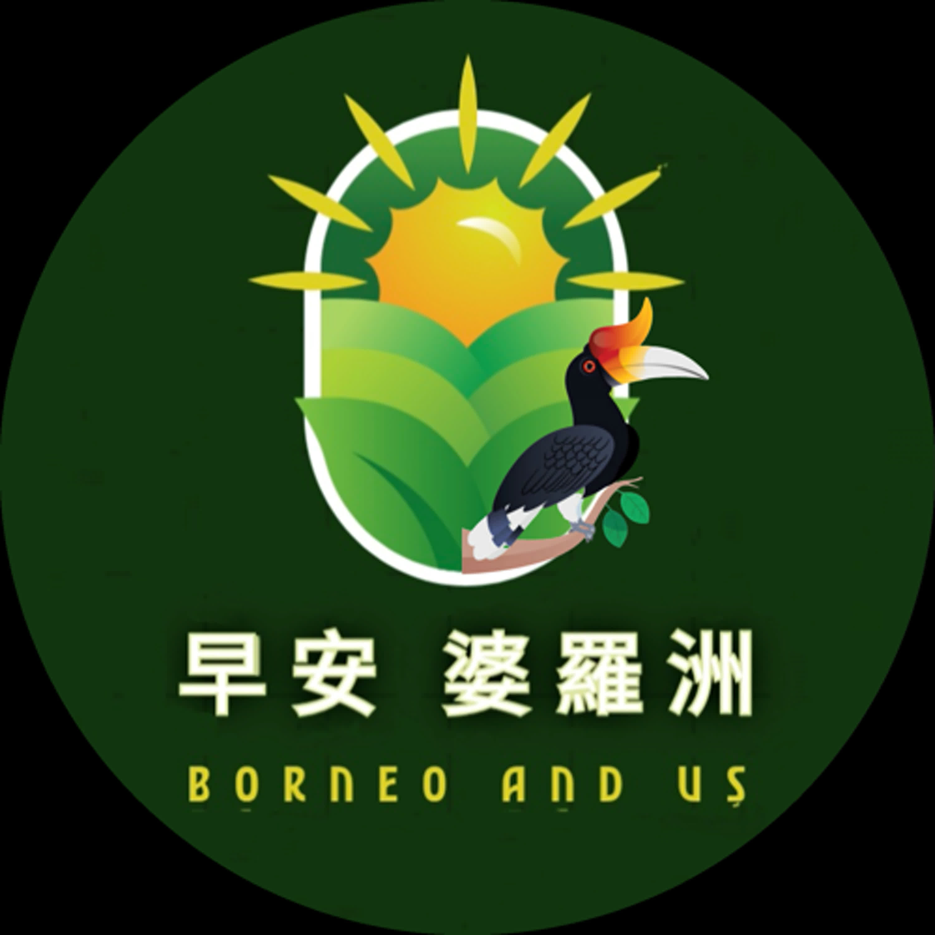 翻滾吧！鬍鬚豬