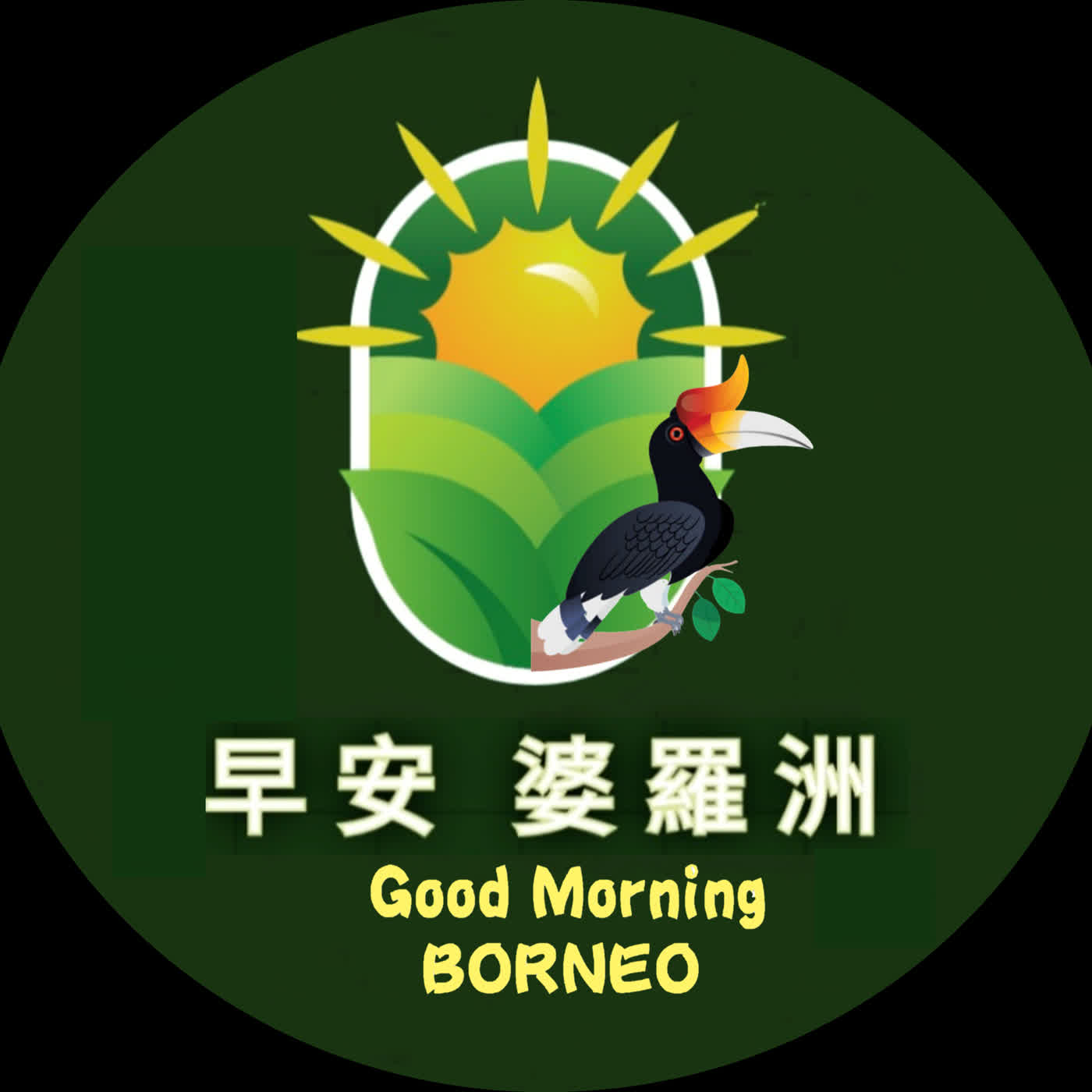 豬籠草小雨蛙的冒險