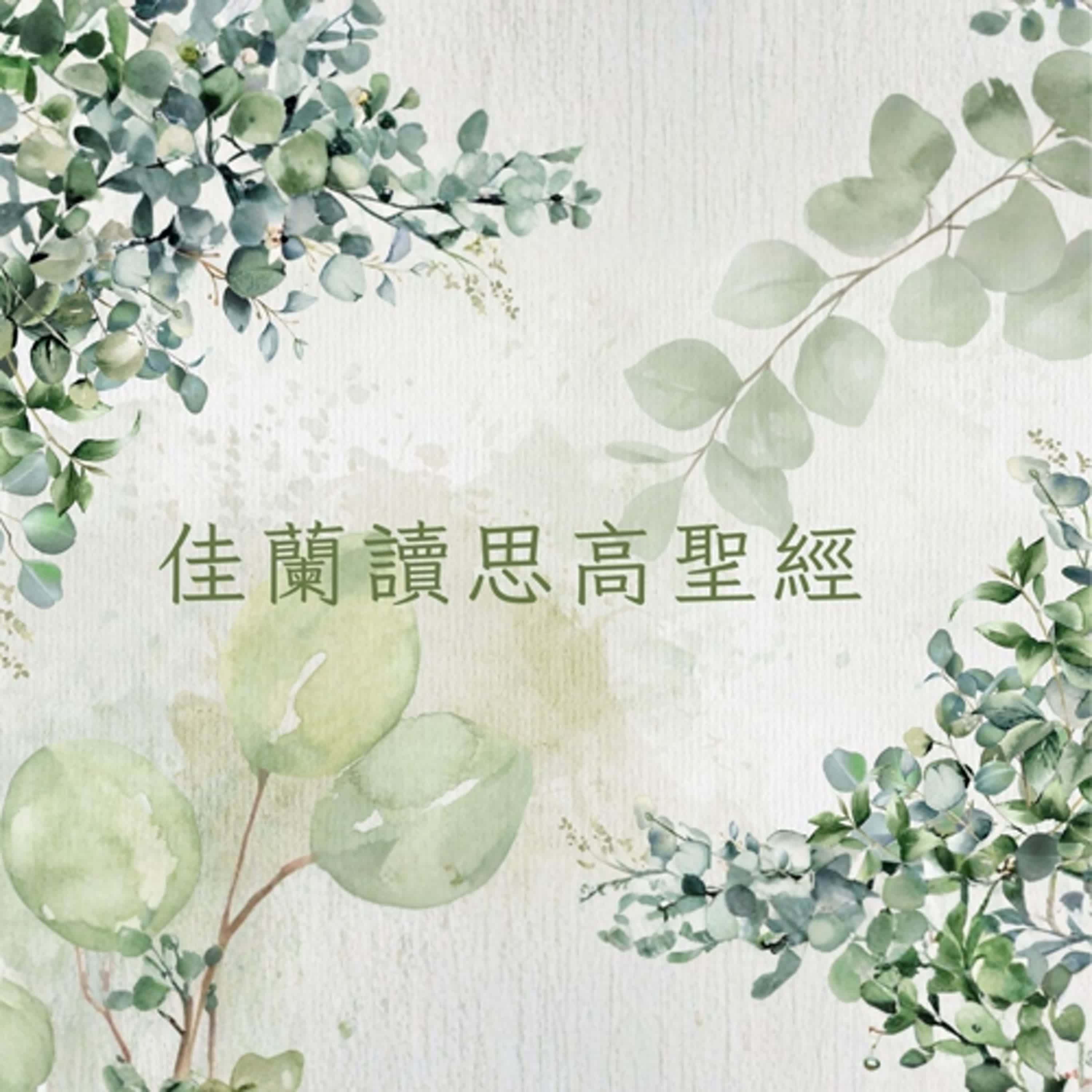 佳蘭讀思高聖經:撒慕爾紀下第二十四章