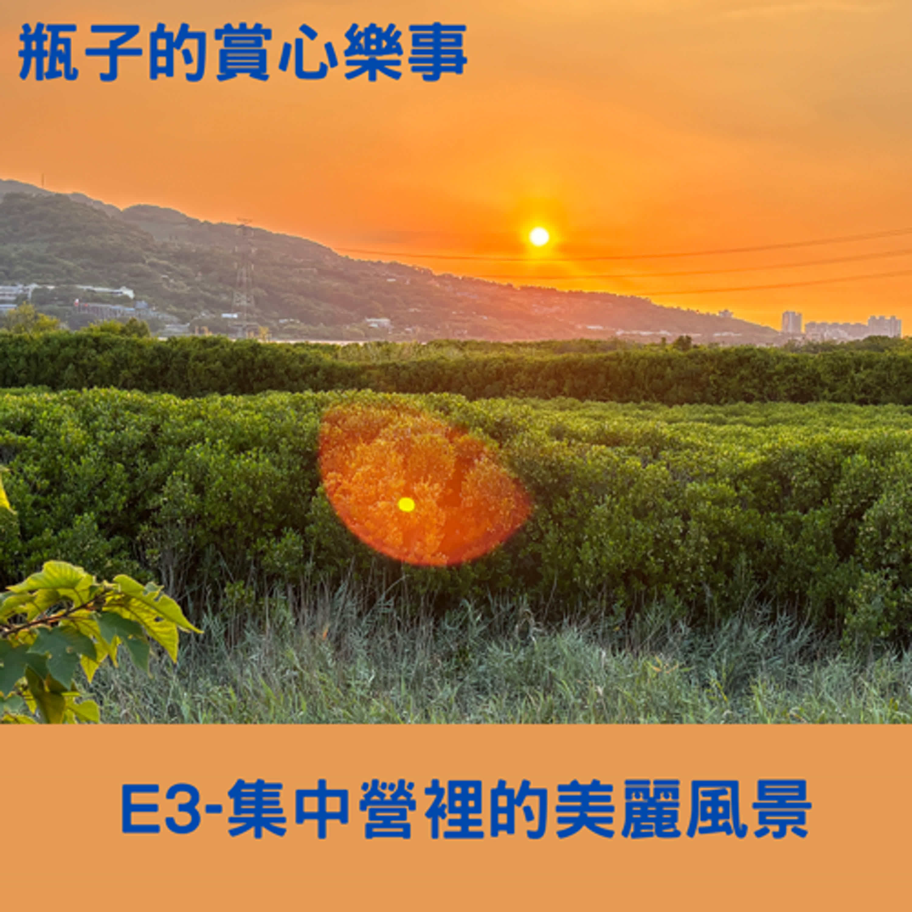集中營裡的美麗風景 episode artwork