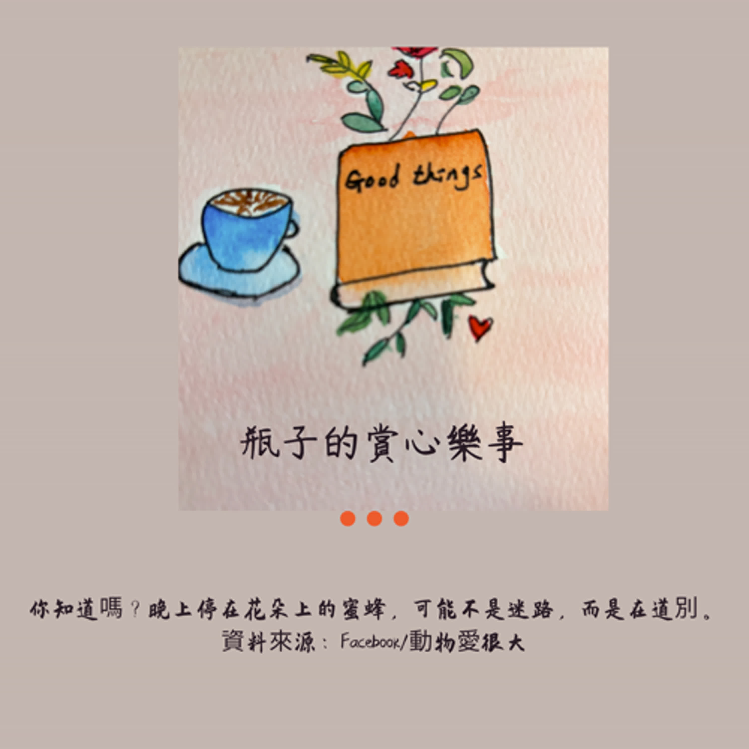 S3E7 你知道嗎?晚上停在花朵上的蜜蜂,可能不是迷路,而是在道別。