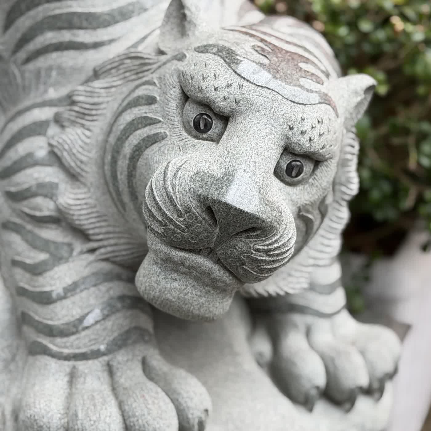 042E Wits over Might