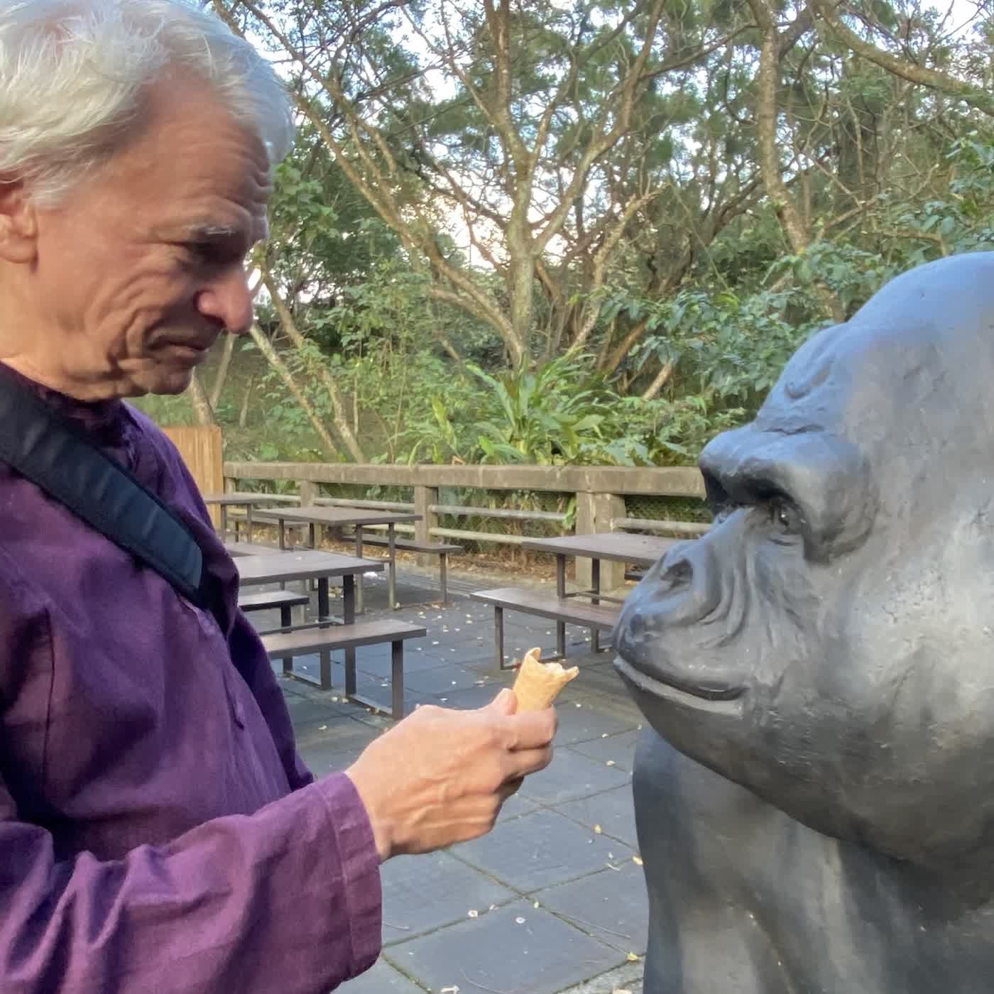 040E A Funny Thing Happened During the Plague