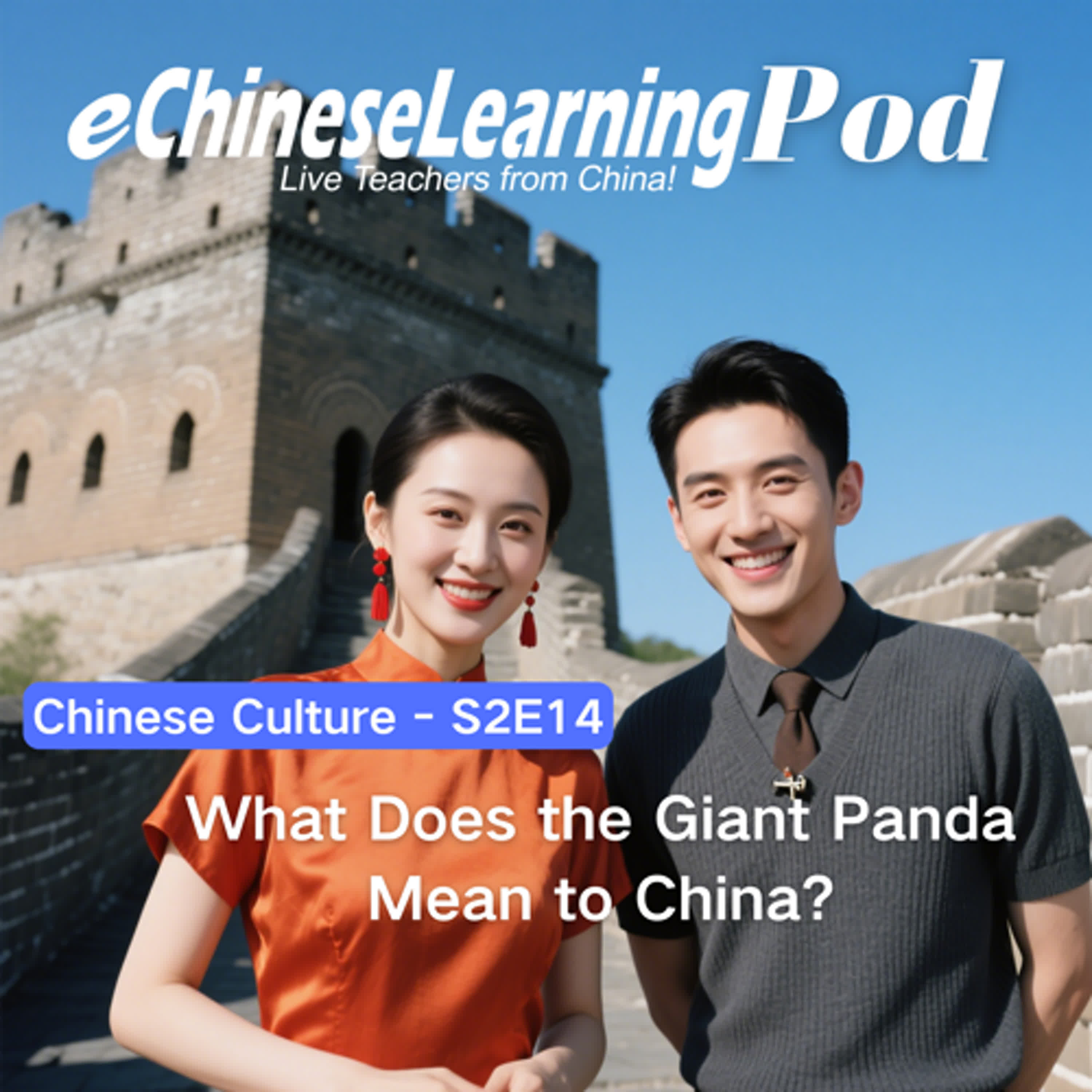 Culture| What Does the Giant Panda Mean to China? episode artwork