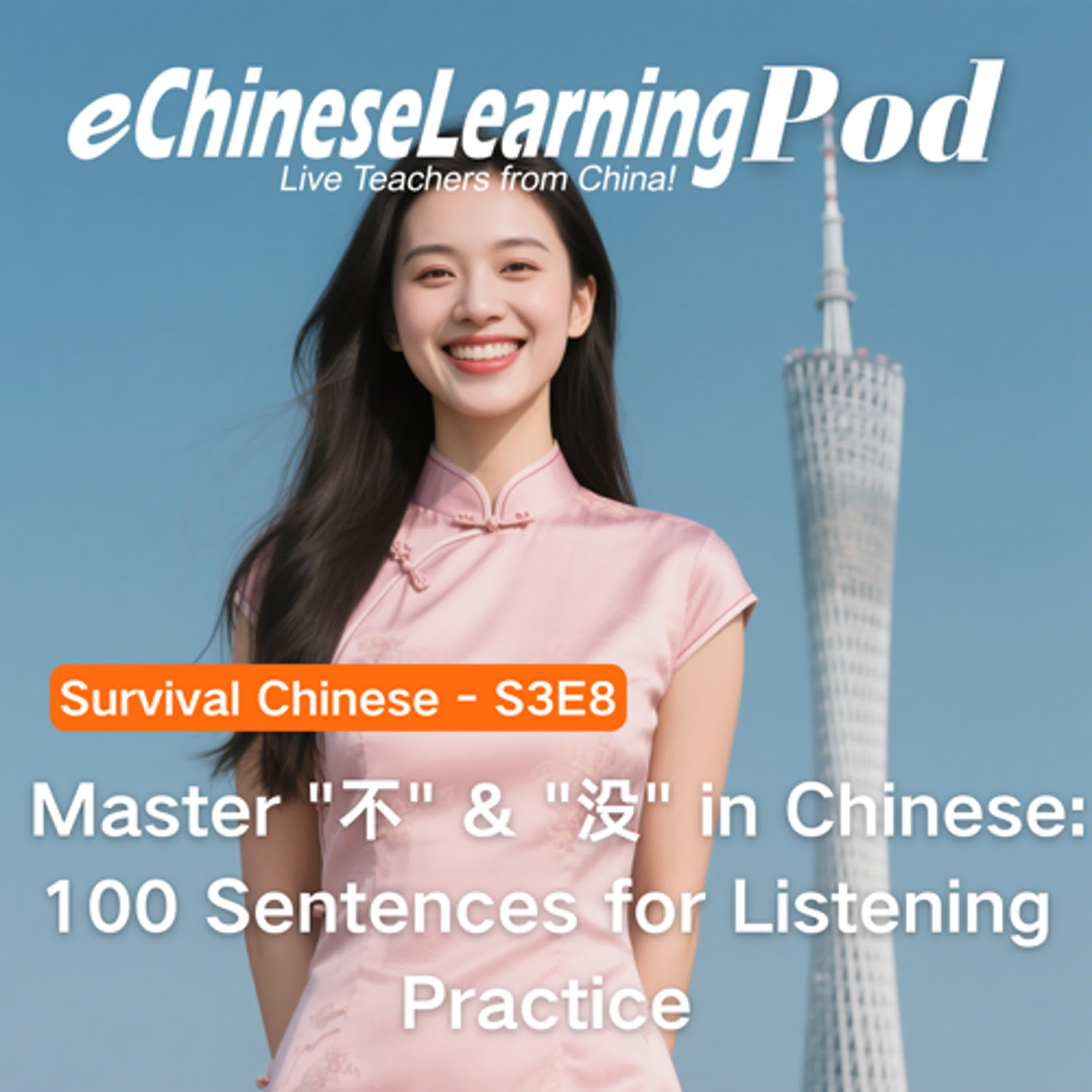 Survival Chinese | Master "不" & "没" in Chinese: 100 Sentences for Listening Practice episode artwork