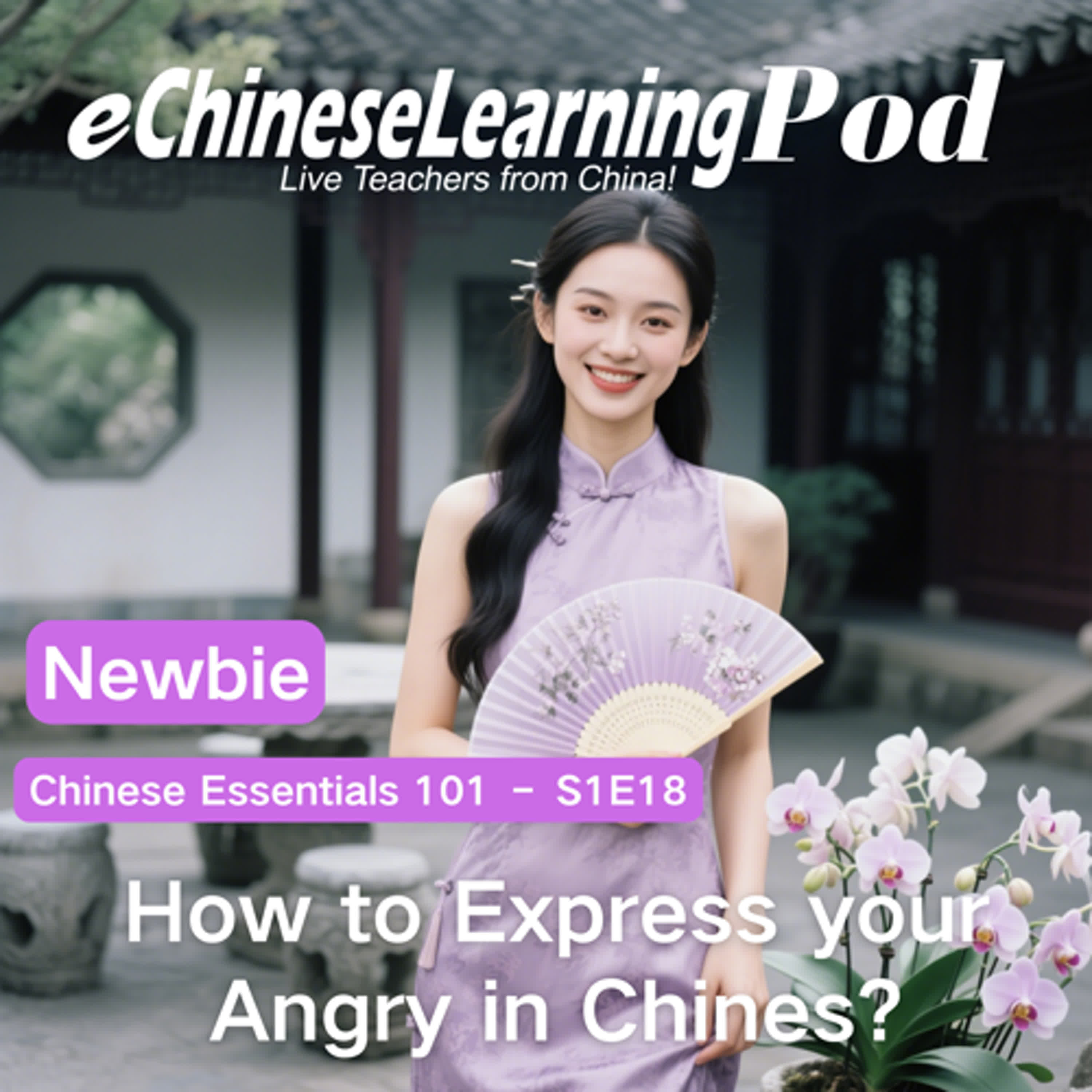 Newbie | Chinese Essentials 101: How to Express your Angry in Chines? episode artwork