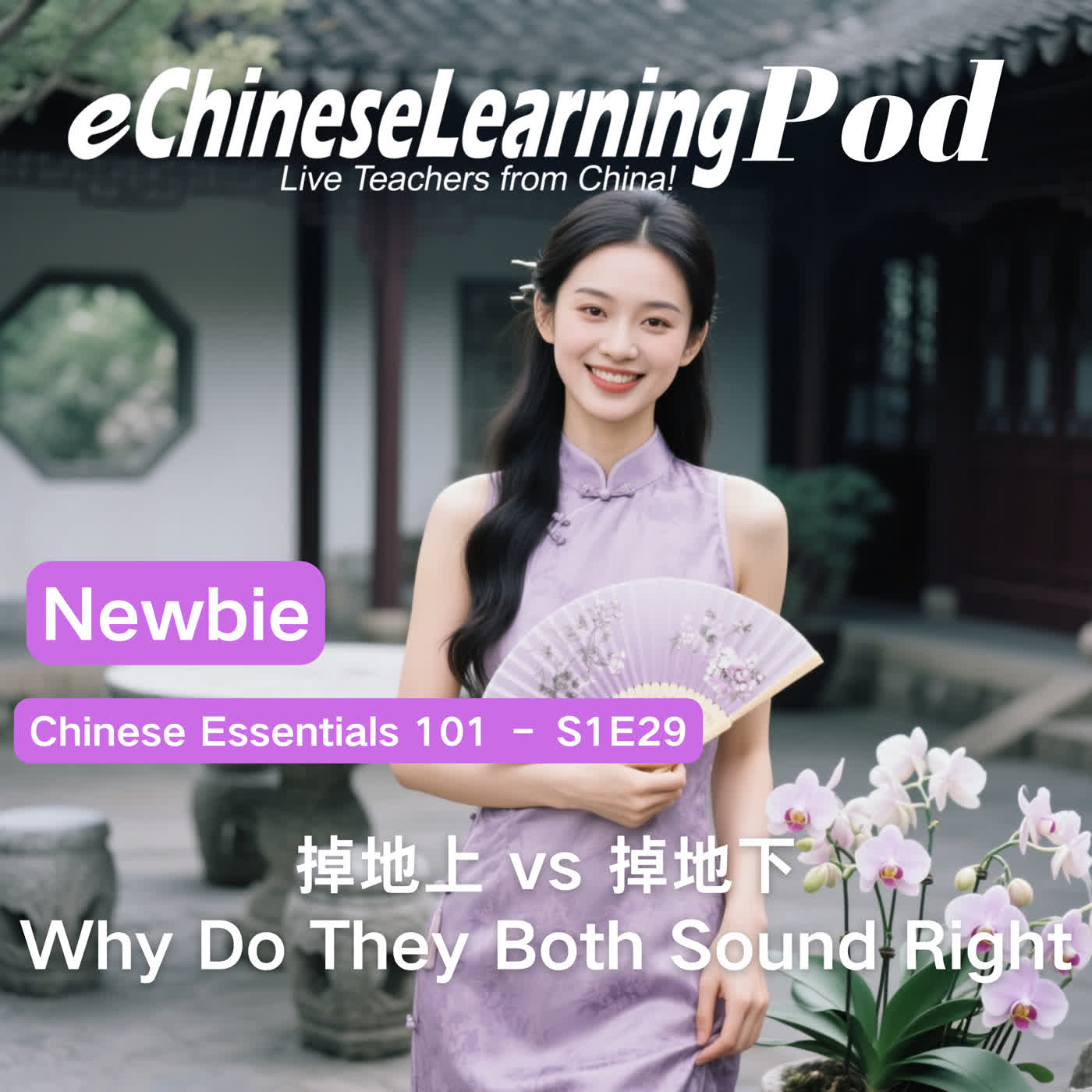 Newbie | 掉地上 vs 掉地下：Why Do They Both Sound Right? episode artwork