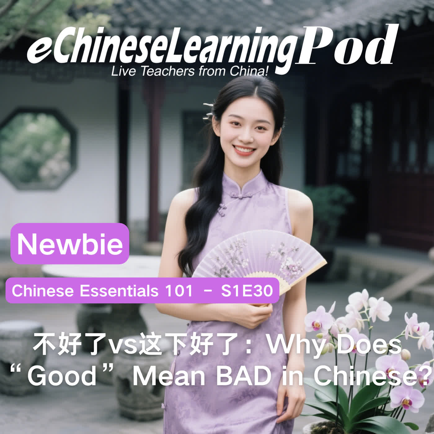 Newbie | 不好了vs这下好了：Why Does “Good” Mean BAD in Chinese? episode artwork