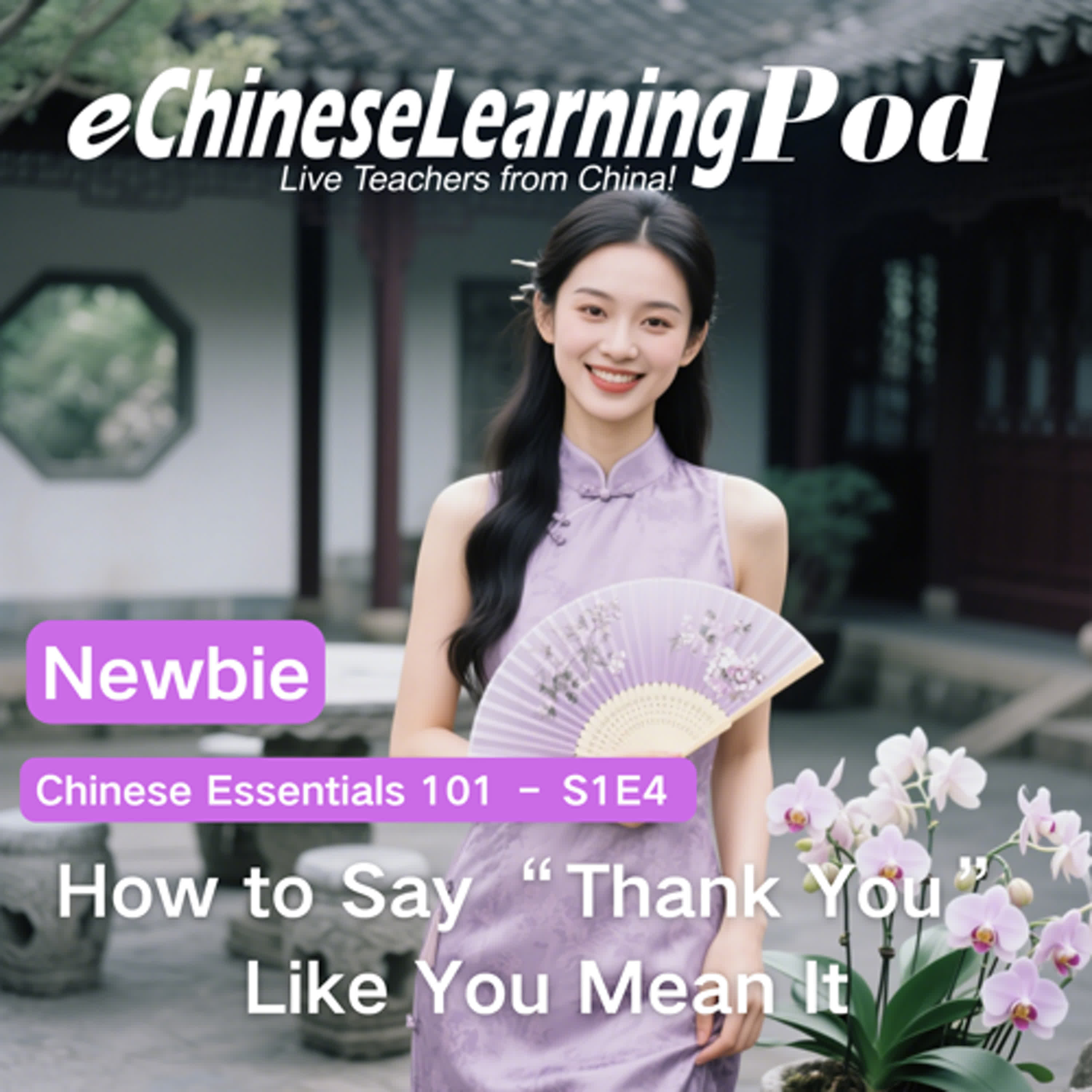 Newbie | Chinese Essentials 101: How to Say “Thank You” Like You Mean It episode artwork