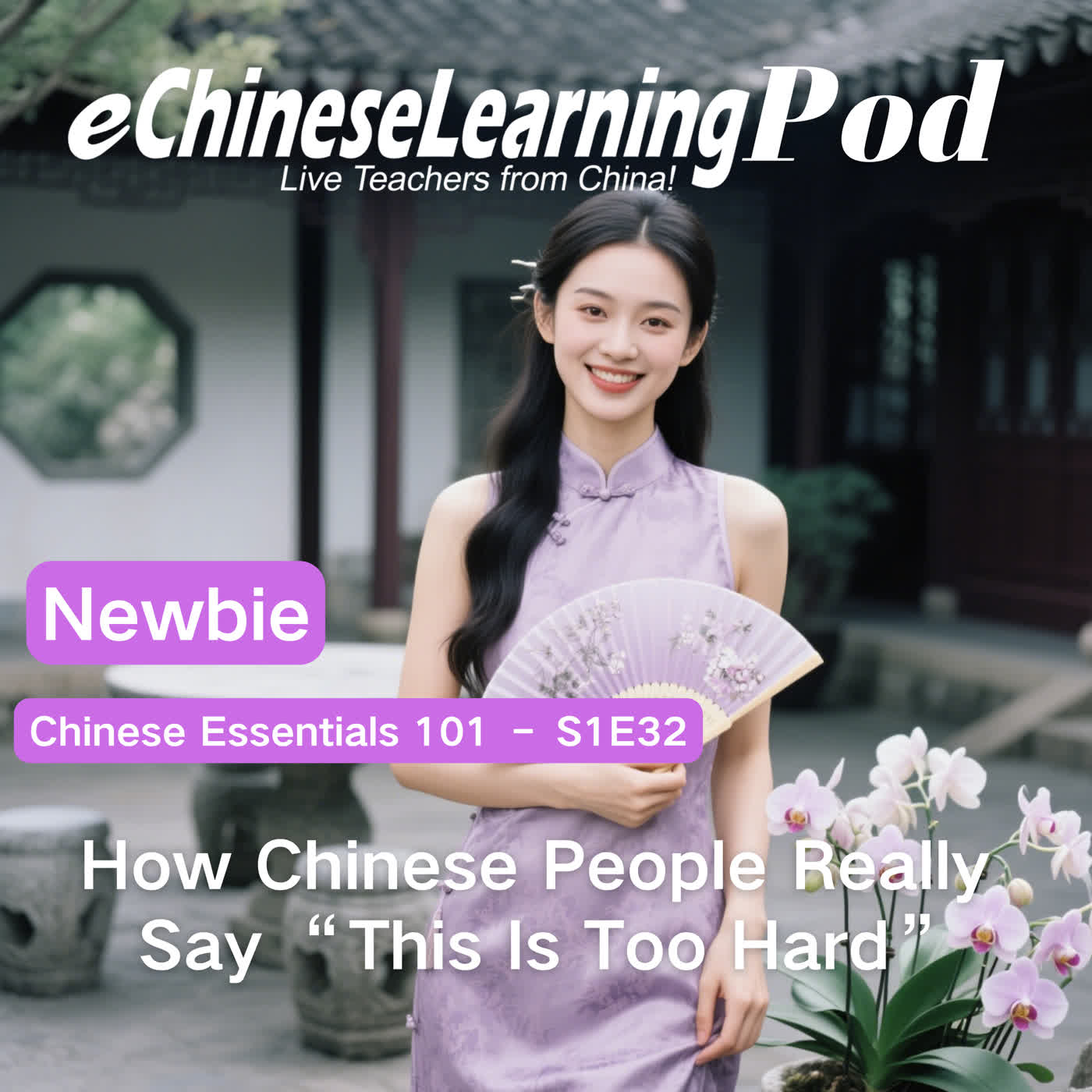  Newbie |  How Chinese People Really Say “This Is Too Hard” episode artwork