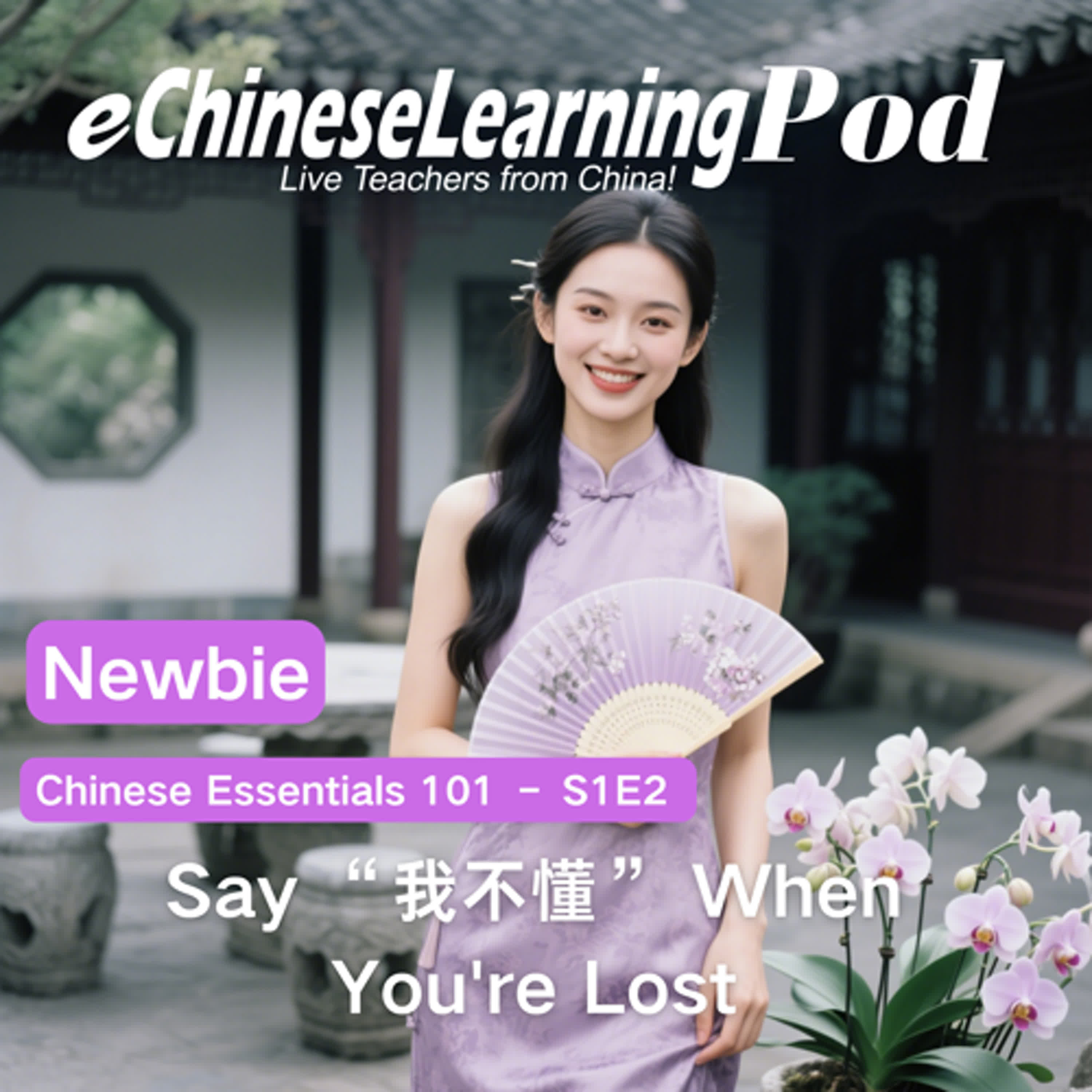 Newbie | Chinese Essentials 101: Say “我不懂” When You’re Lost  episode artwork