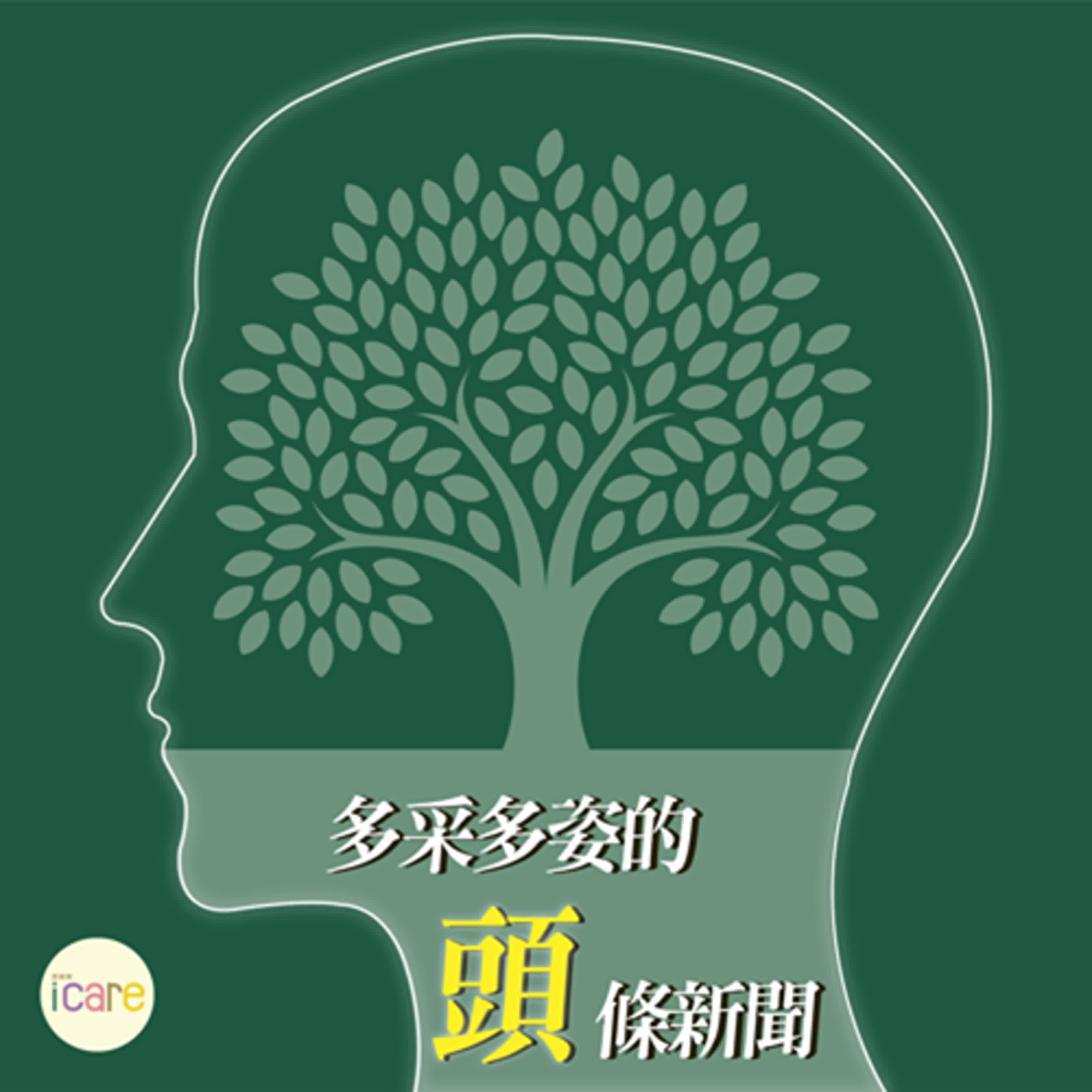 多采多姿的頭條新聞｜客人真心回饋 頭皮管理之旅大公開