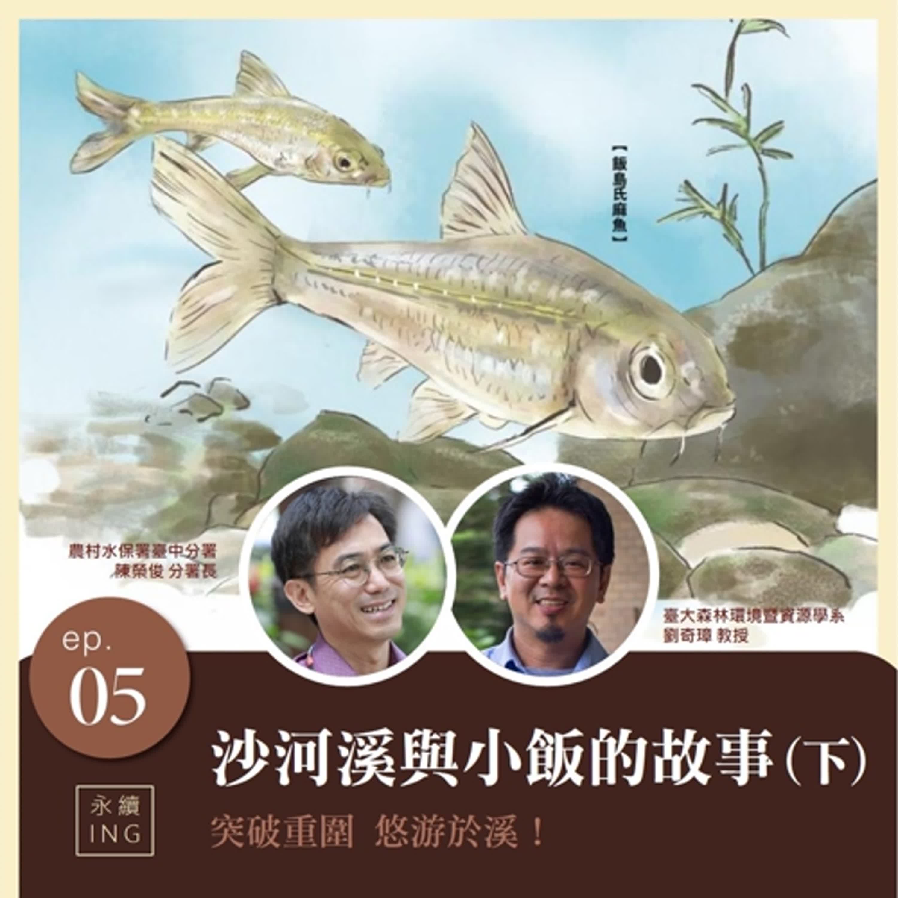 EP.5 沙河溪與小飯的故事（下）突破重圍 悠游於溪