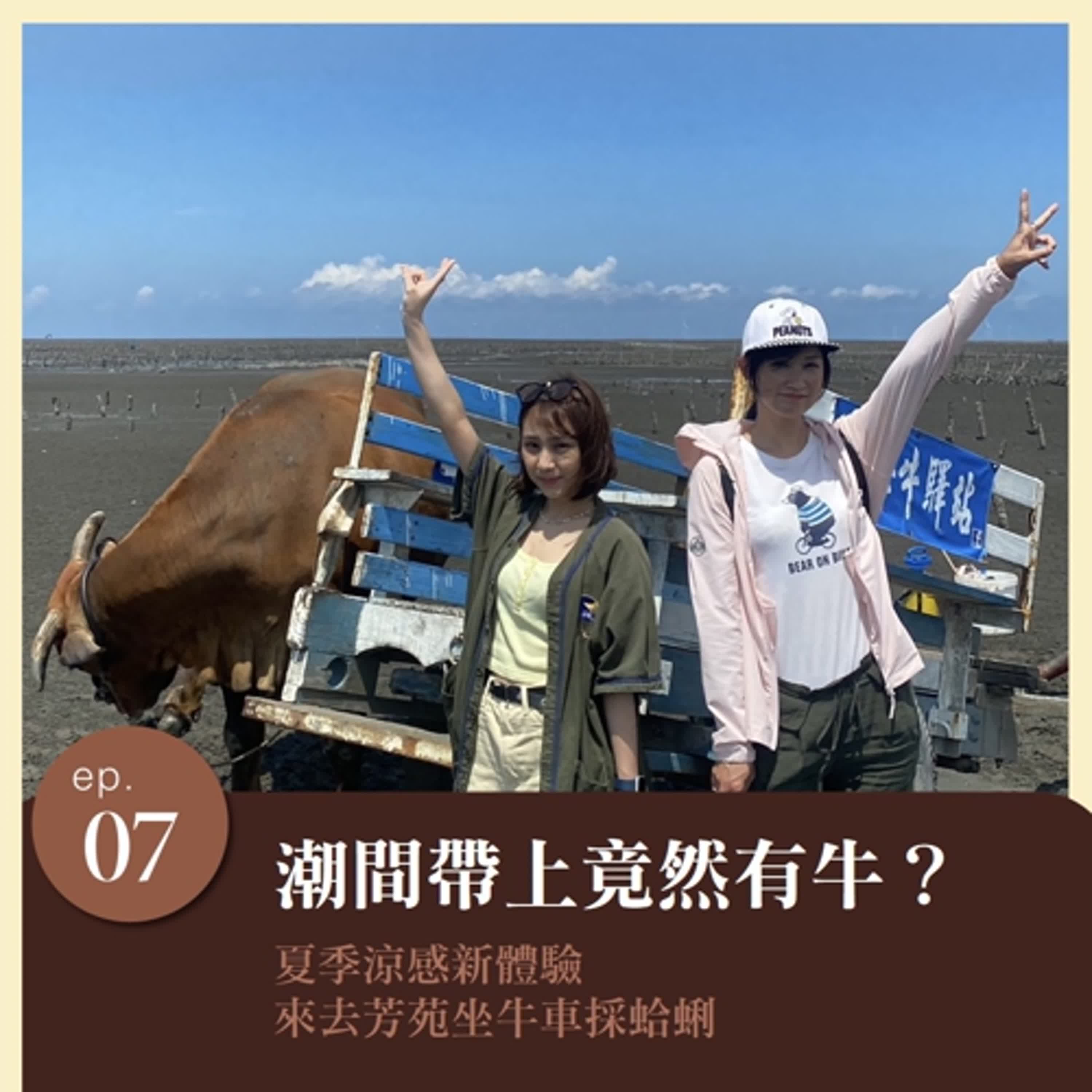 EP.7 夏日涼感新體驗！潮間帶上竟然有牛？來去芳苑坐牛車採蛤蜊！